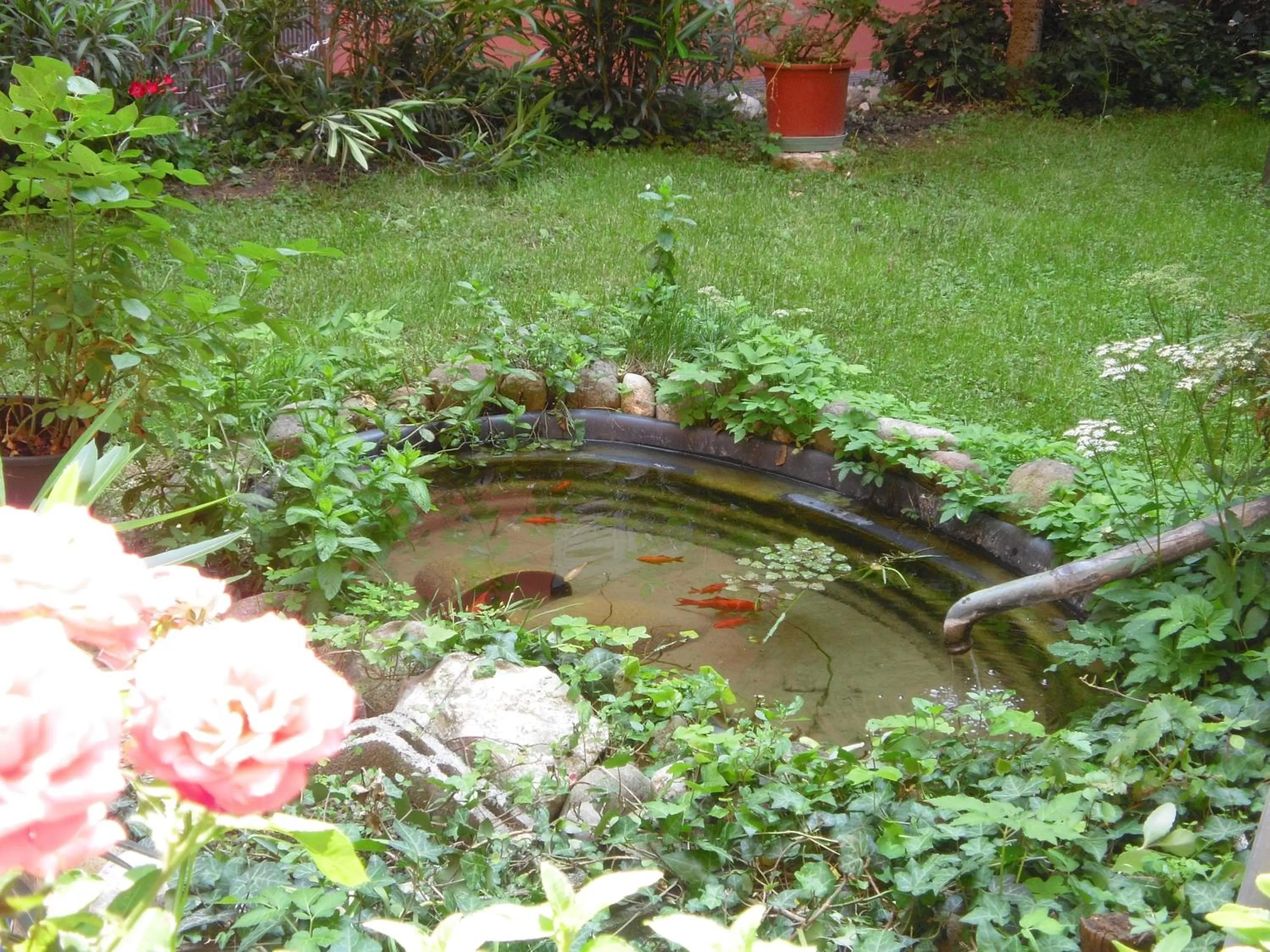 Garden in Albergo Bianchi Stazione