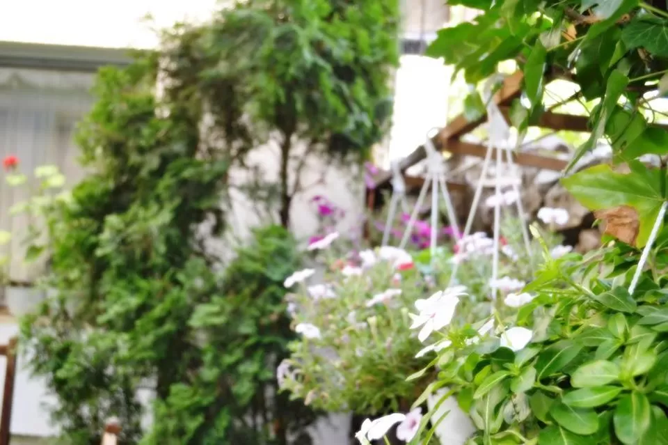 Patio in Hotel Rade 1