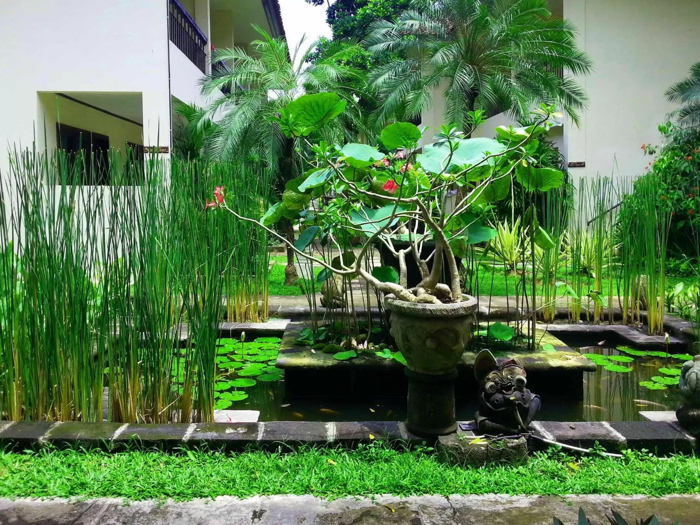 Garden in Legian Paradiso Hotel