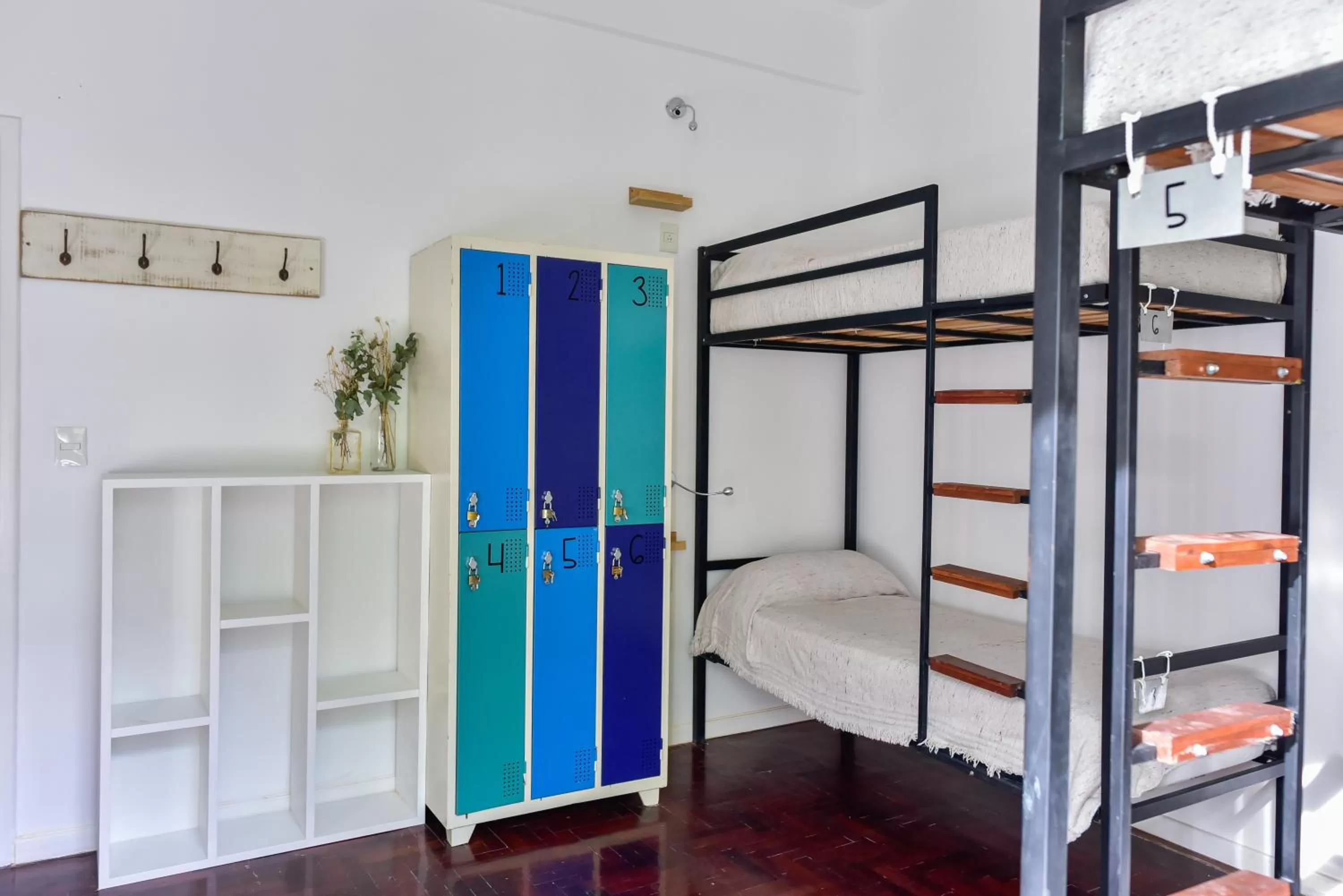 Photo of the whole room, Bunk Bed in Casa Caravan - Plant Based Concept House