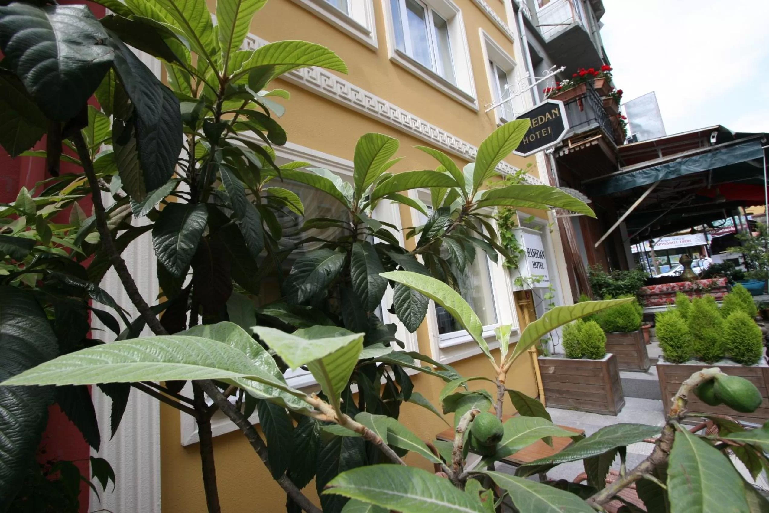 Facade/entrance, Property Building in Hanedan Hotel