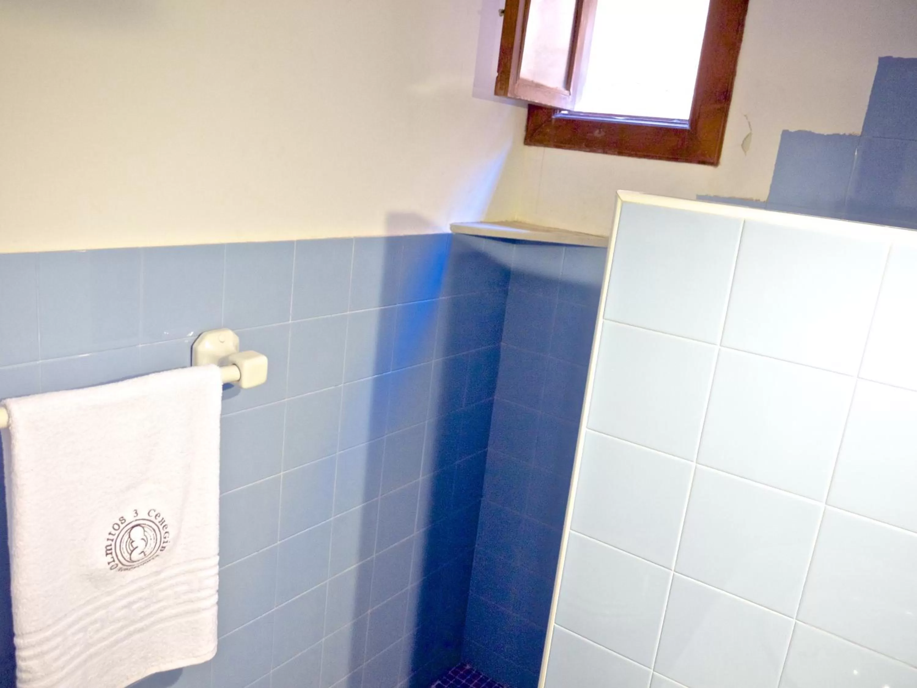 Bathroom in Olmitos 3 Hotel boutique, Casa-Palacio