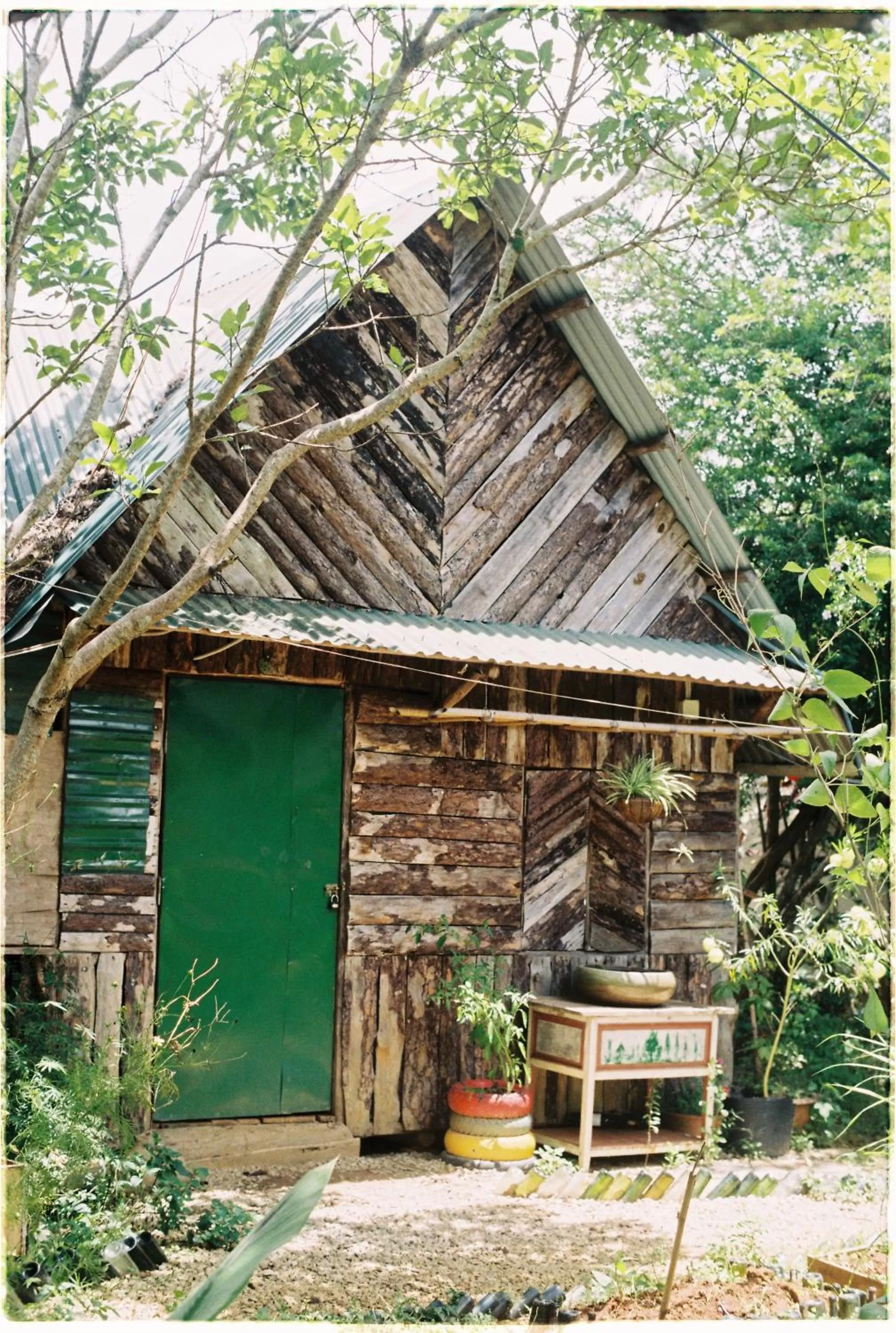 Property building in The Lake House Dalat