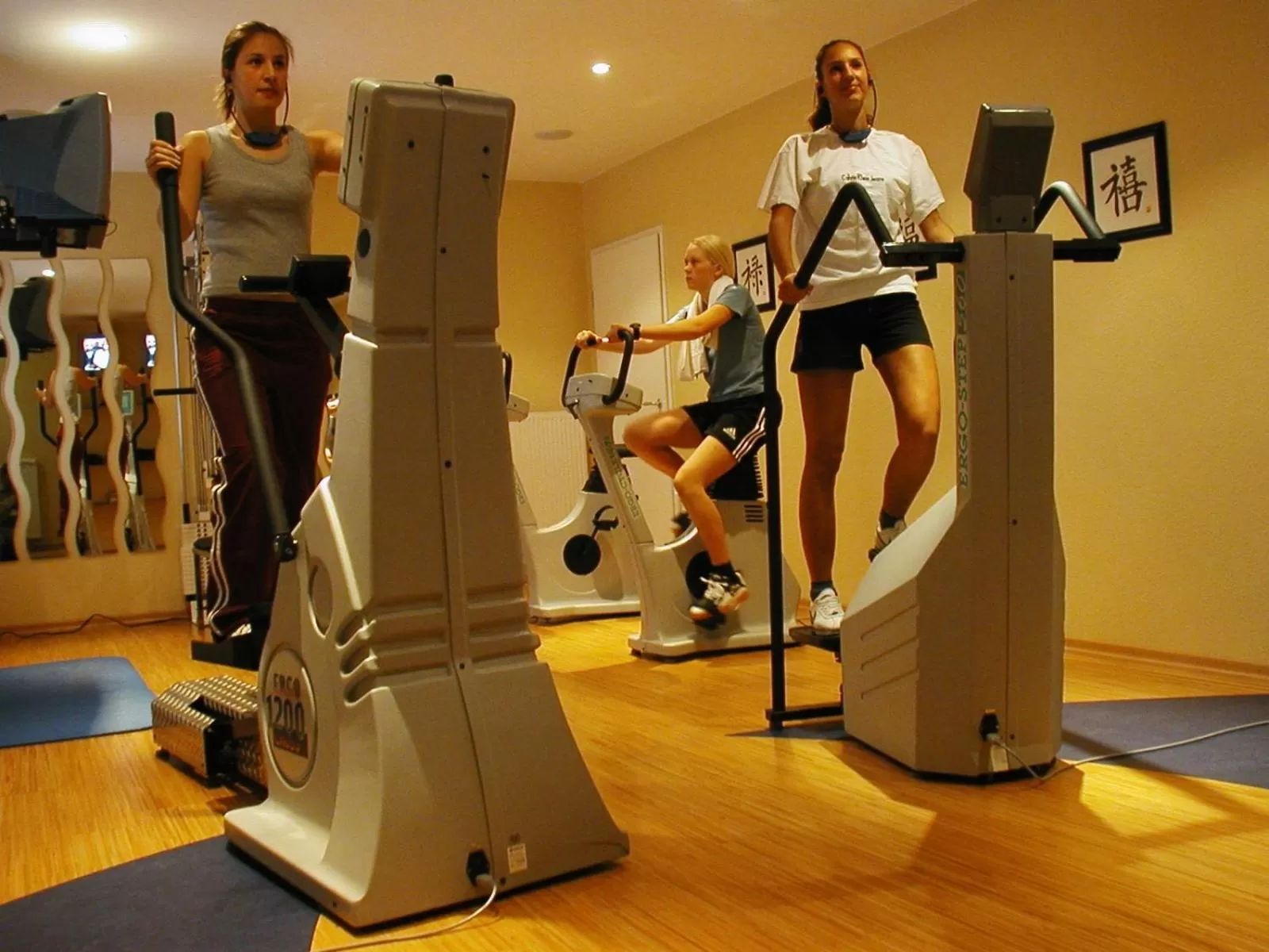 Fitness centre/facilities in Der Kleine Hans - GARDELS Basics