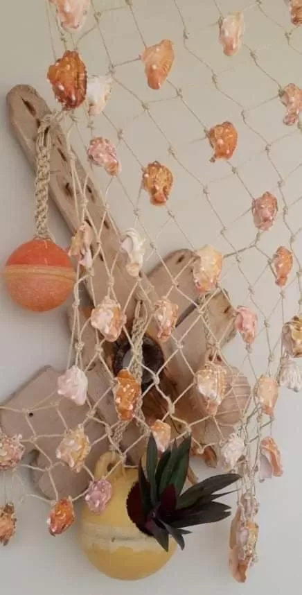 Decorative detail in B&B Sereia Azul Boa Vista