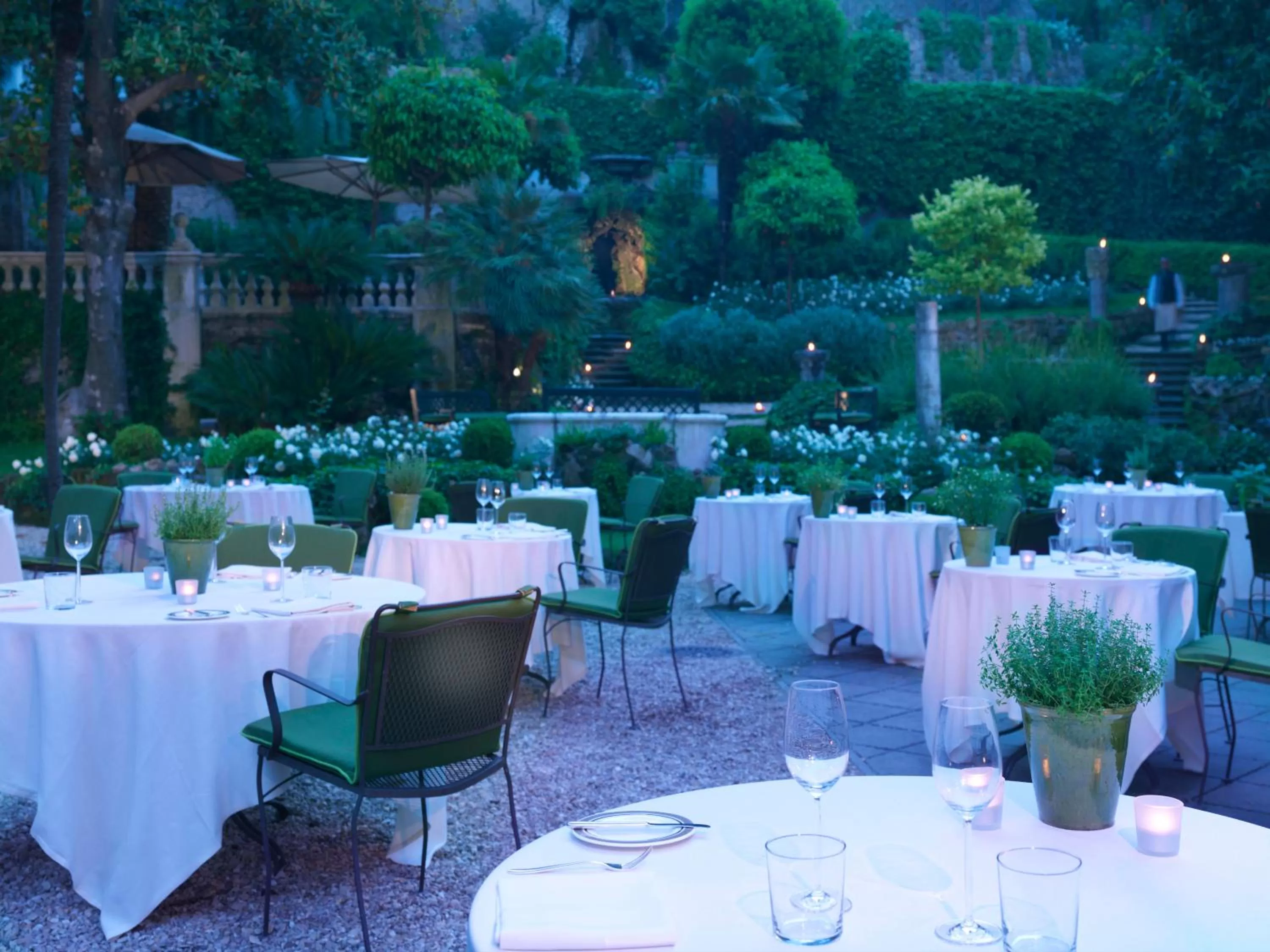 Restaurant/places to eat in Rocco Forte Hotel De Russie