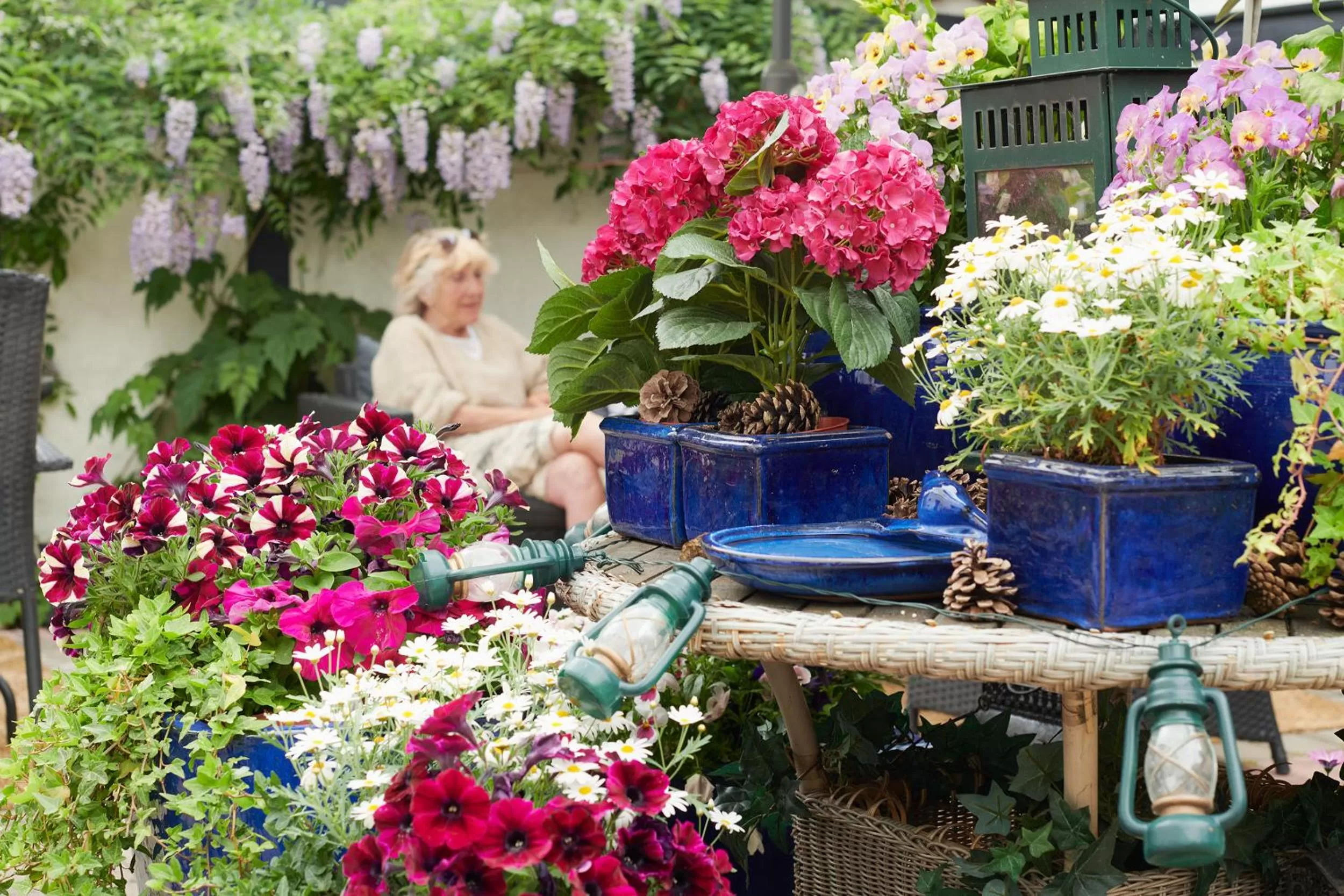 Property building in Hotell Bäckagården