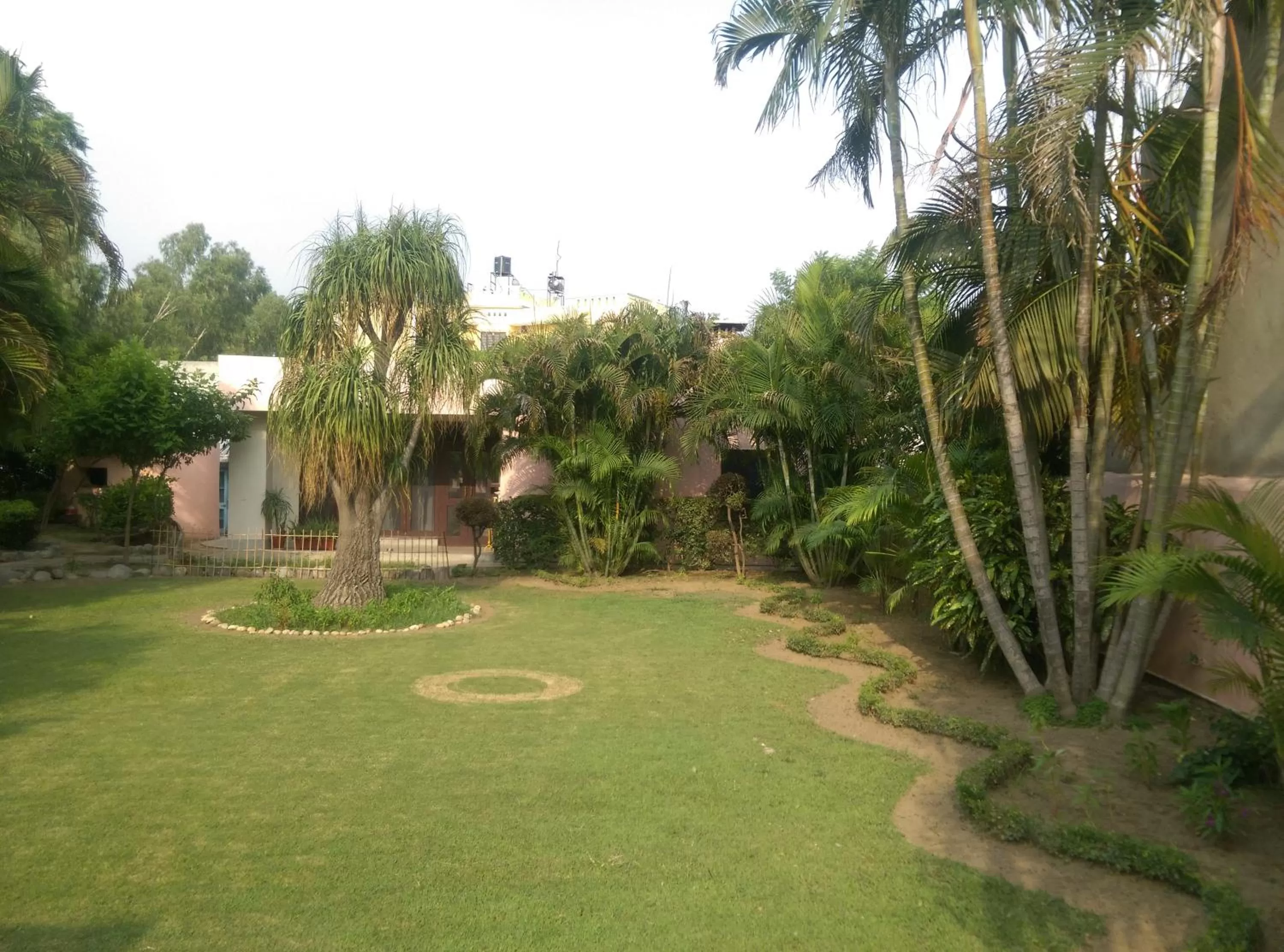 Garden in Savrupson Heritage Home