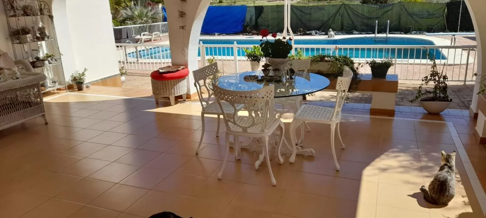 Restaurant/Places to Eat in Casa Veronica