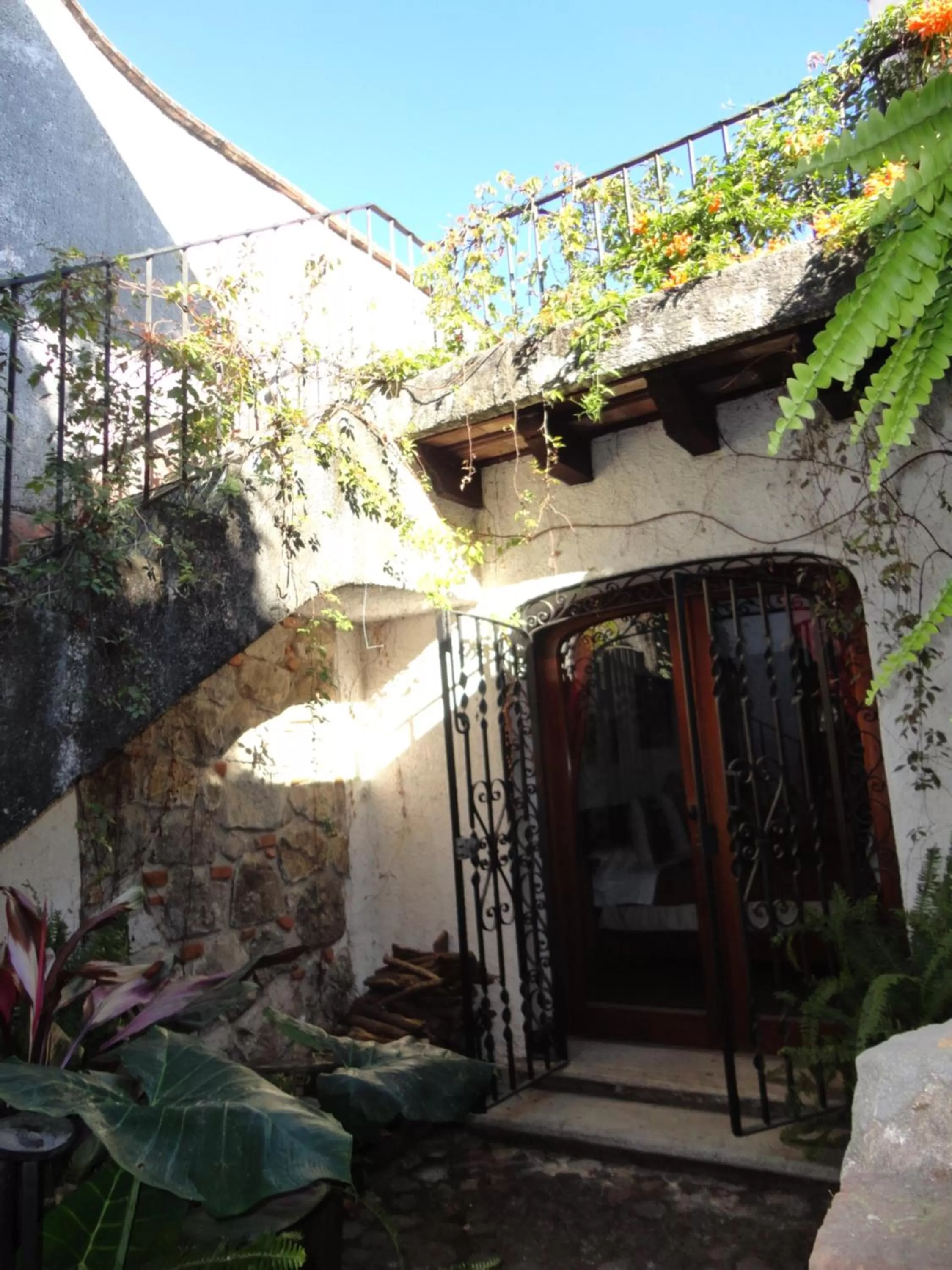 Balcony/Terrace in Cissus Hotel Boutique