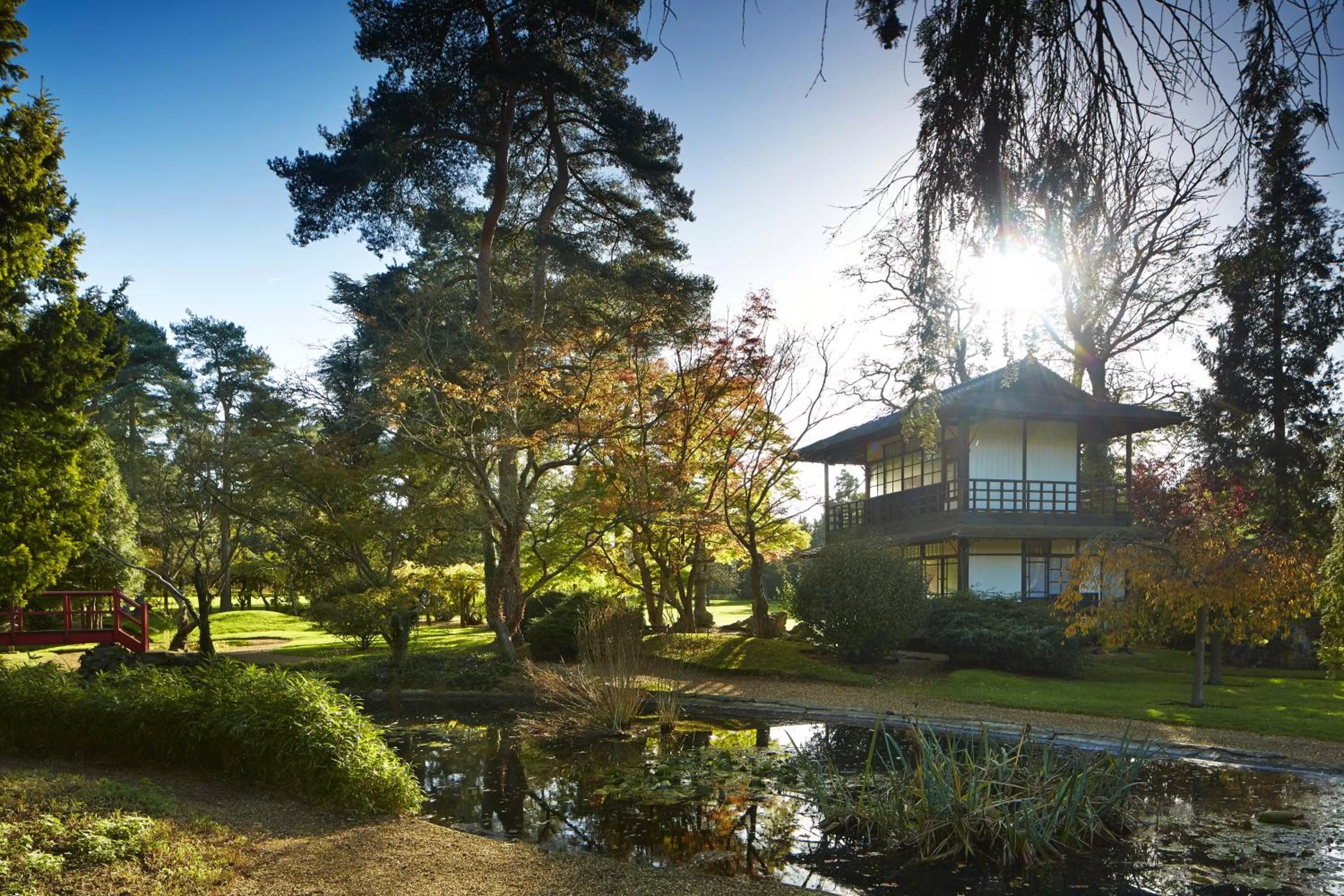 Garden in Fanhams Hall, Exclusive Collection