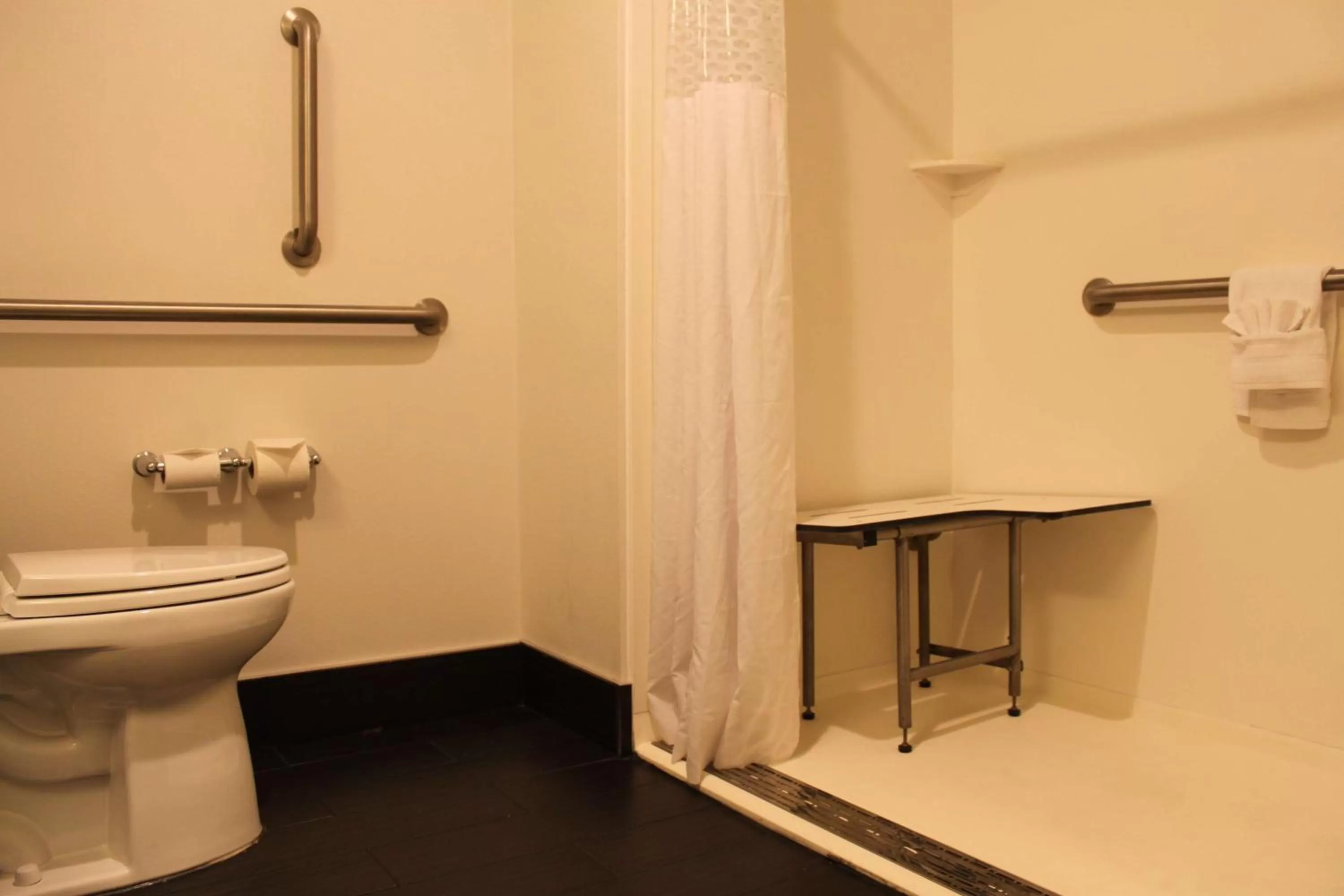 Bathroom in Hampton Inn Bainbridge, GA