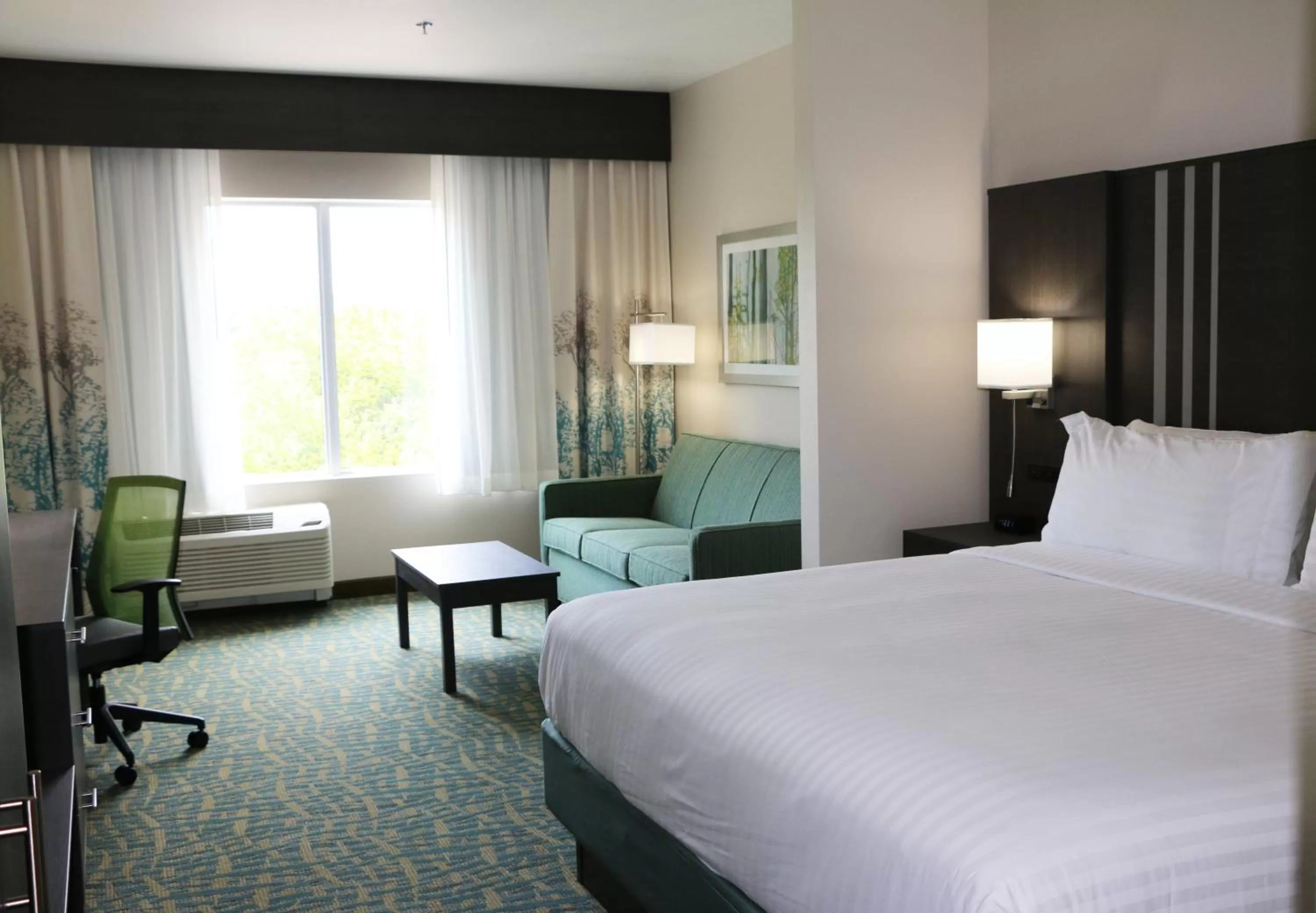 Photo of the whole room, Bed in Holiday Inn Express & Suites - Hendersonville SE - Flat Rock by IHG