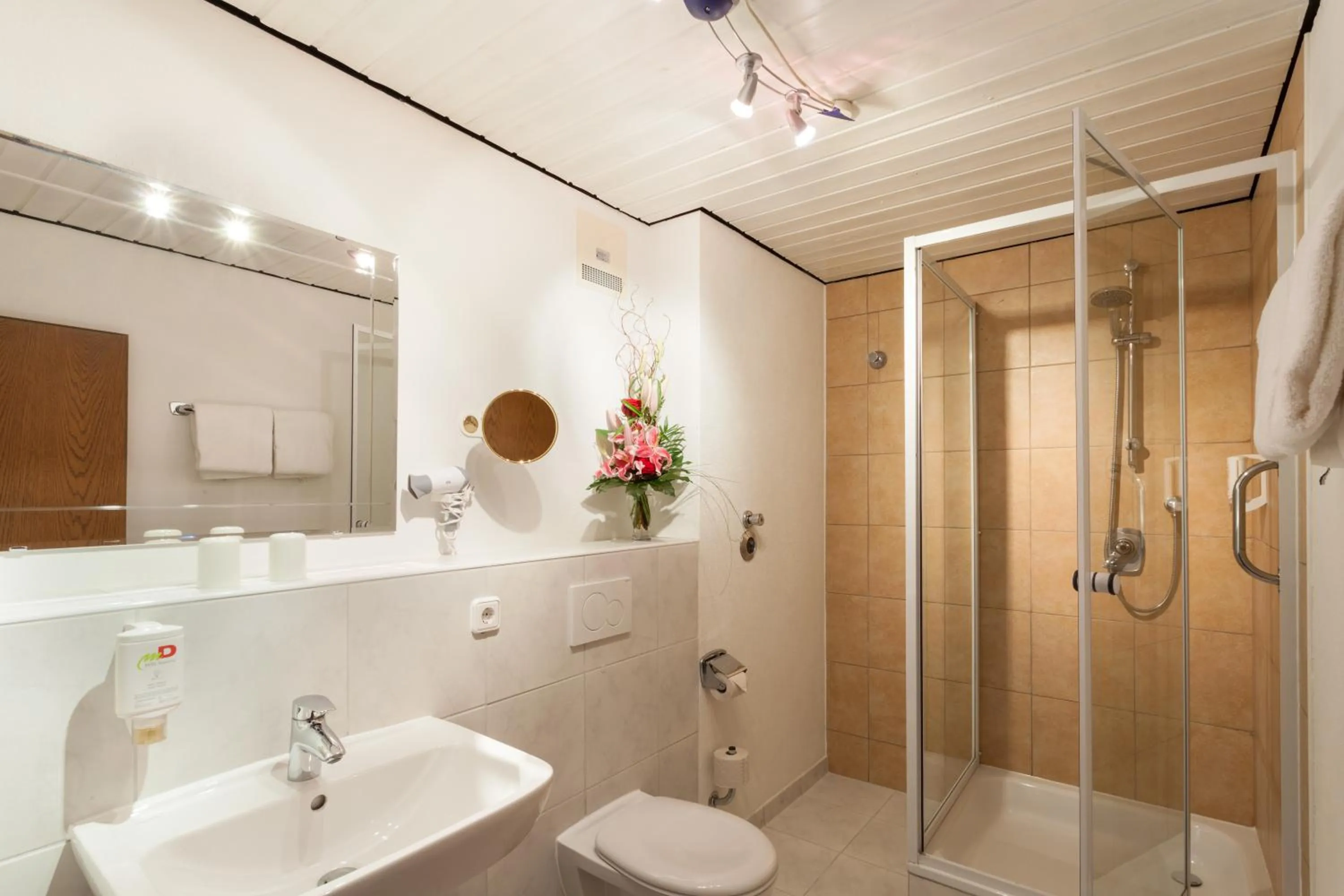 Bathroom in Akzenthaus Alpenrose Nesselwang