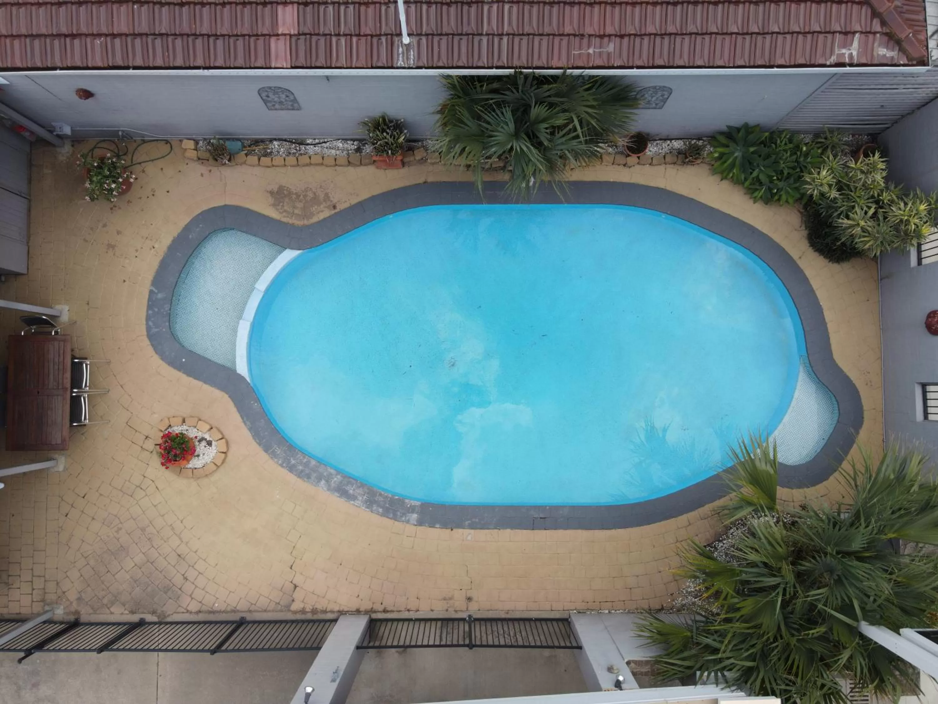 Swimming pool in The Town House Motor Inn
