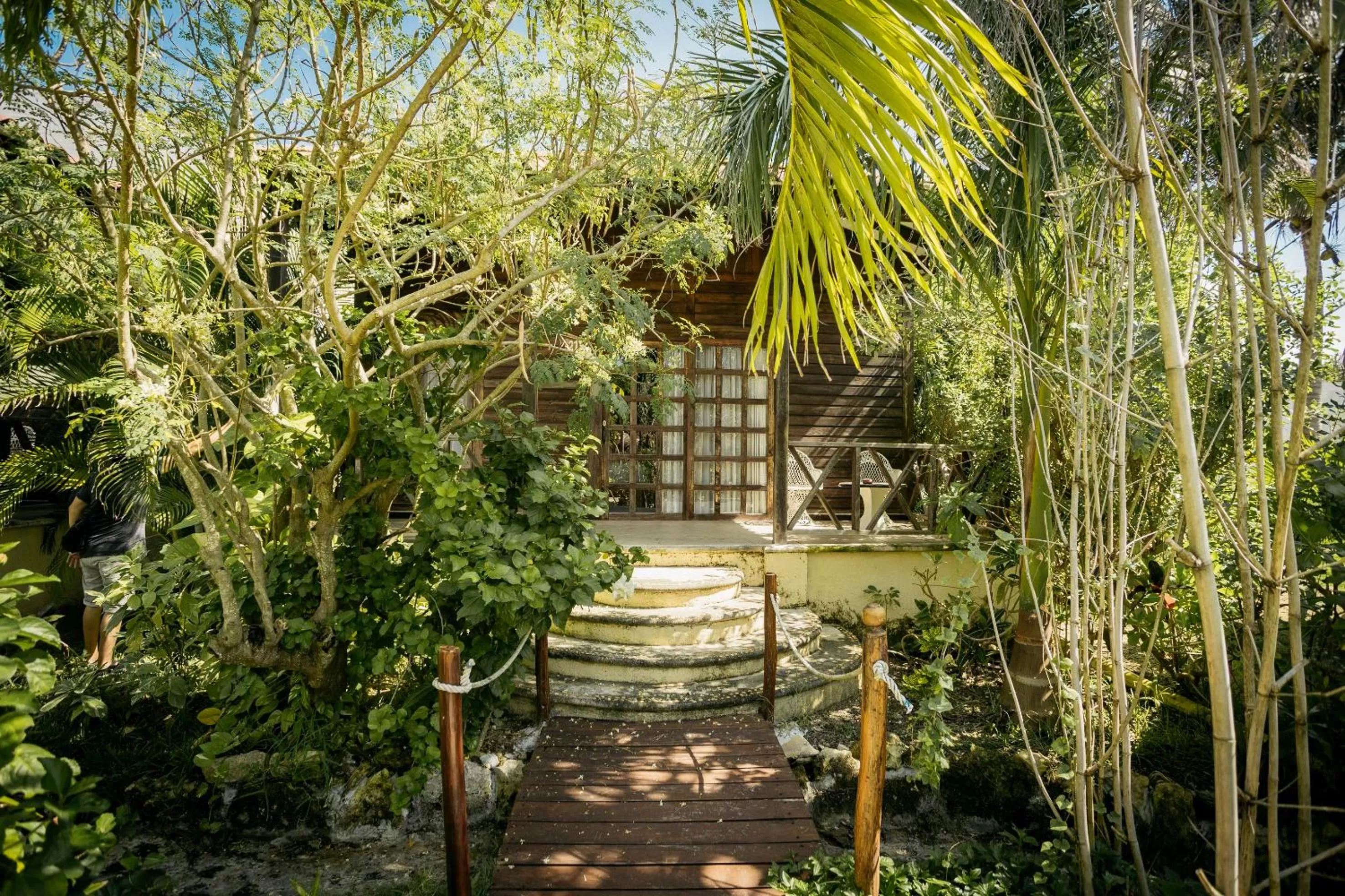 Jungle Experience Bungalow - 2 Double Beds in Petit Lafitte Beach Front Hotel & Bungalows