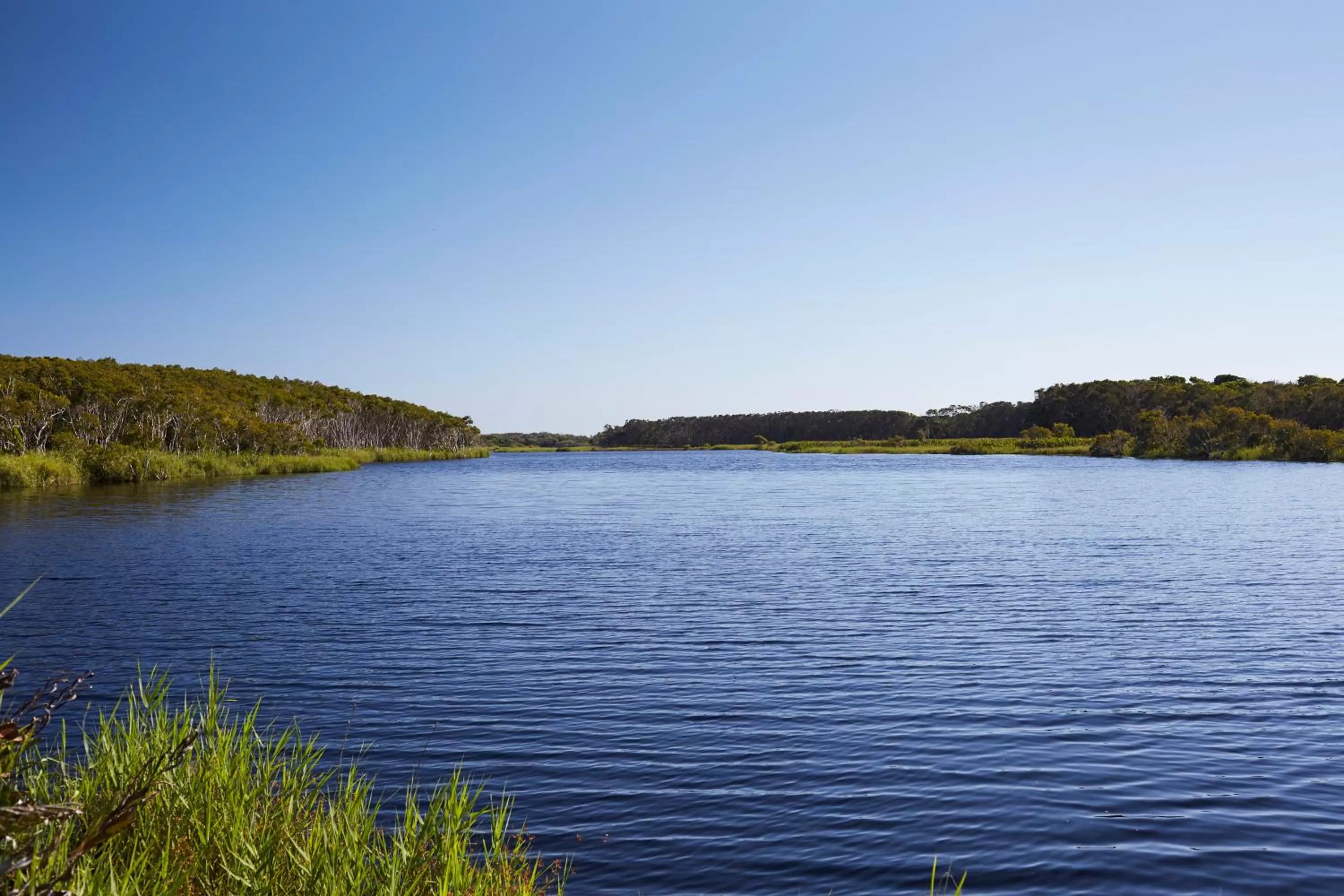 Natural landscape in Crystalbrook Byron