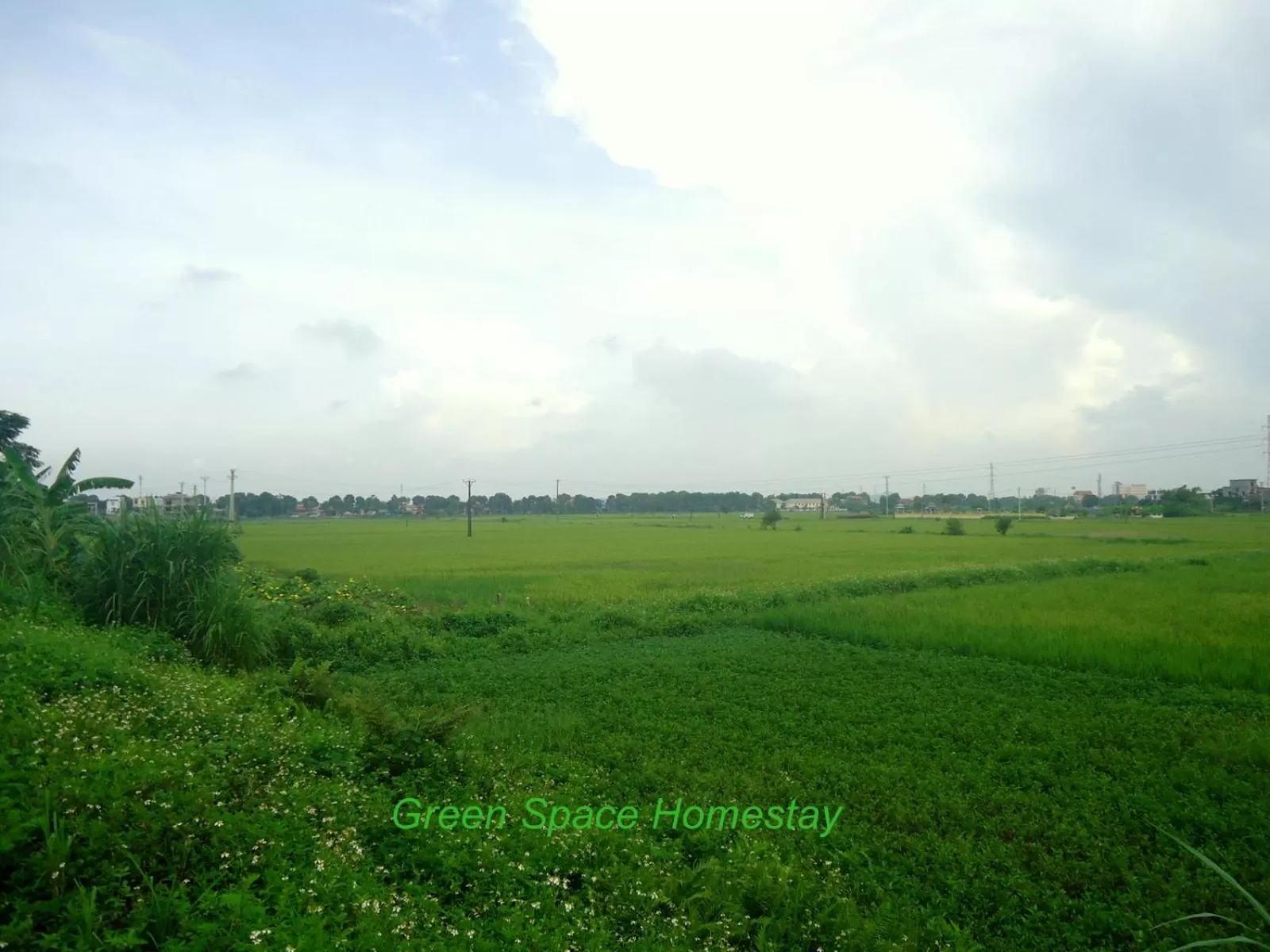 Off site in Green Space Homestay