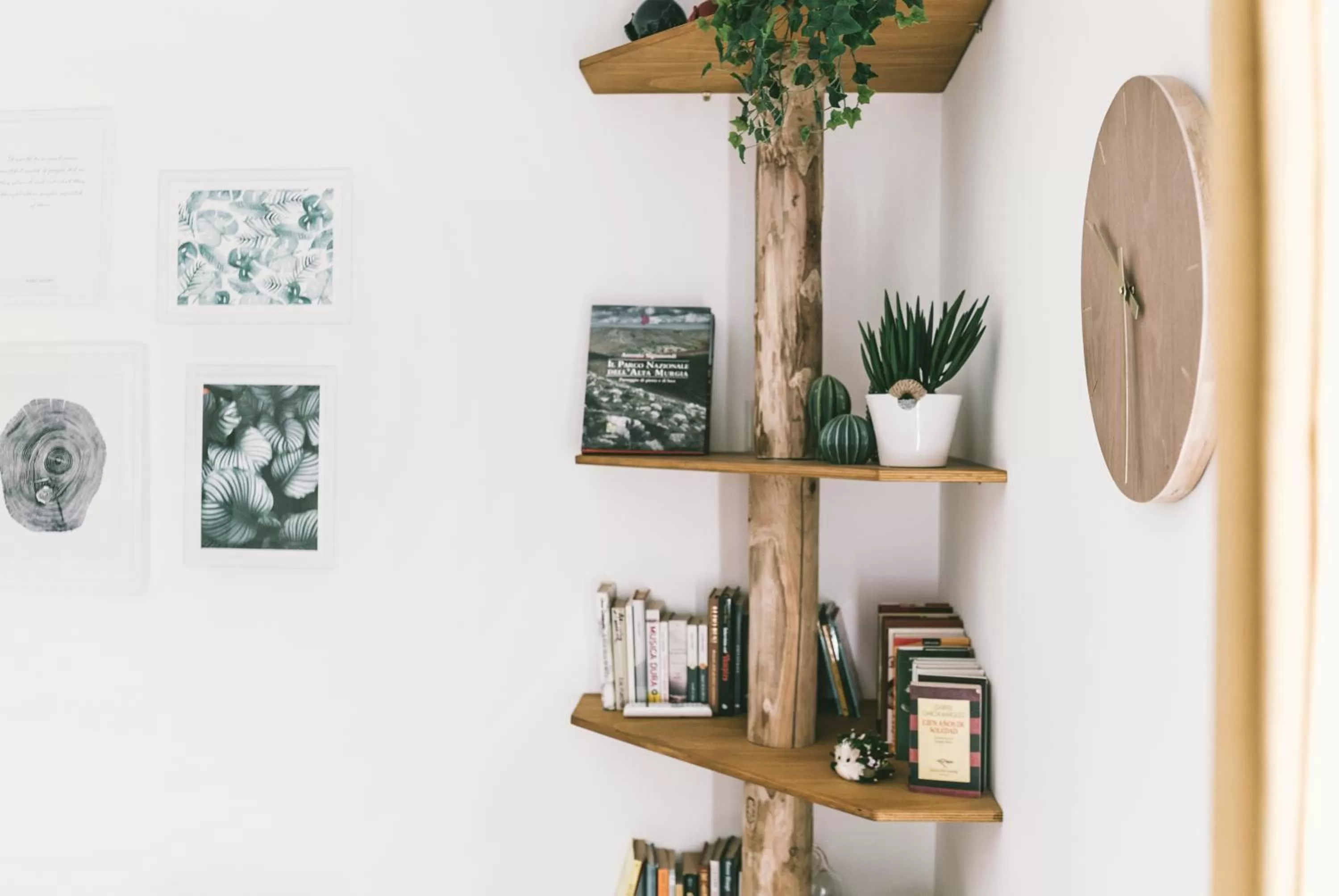 Communal lounge/ TV room in Vandelia B&B