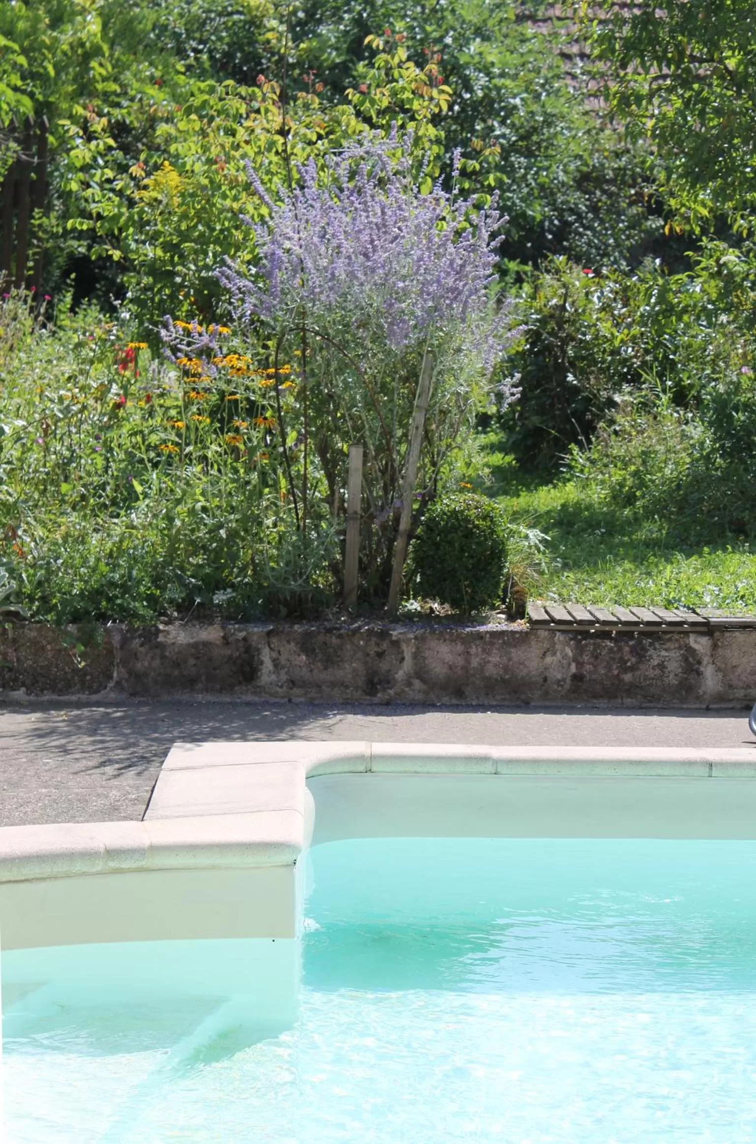 Pool view in Chambres d'hôtes La Distillerie B&B