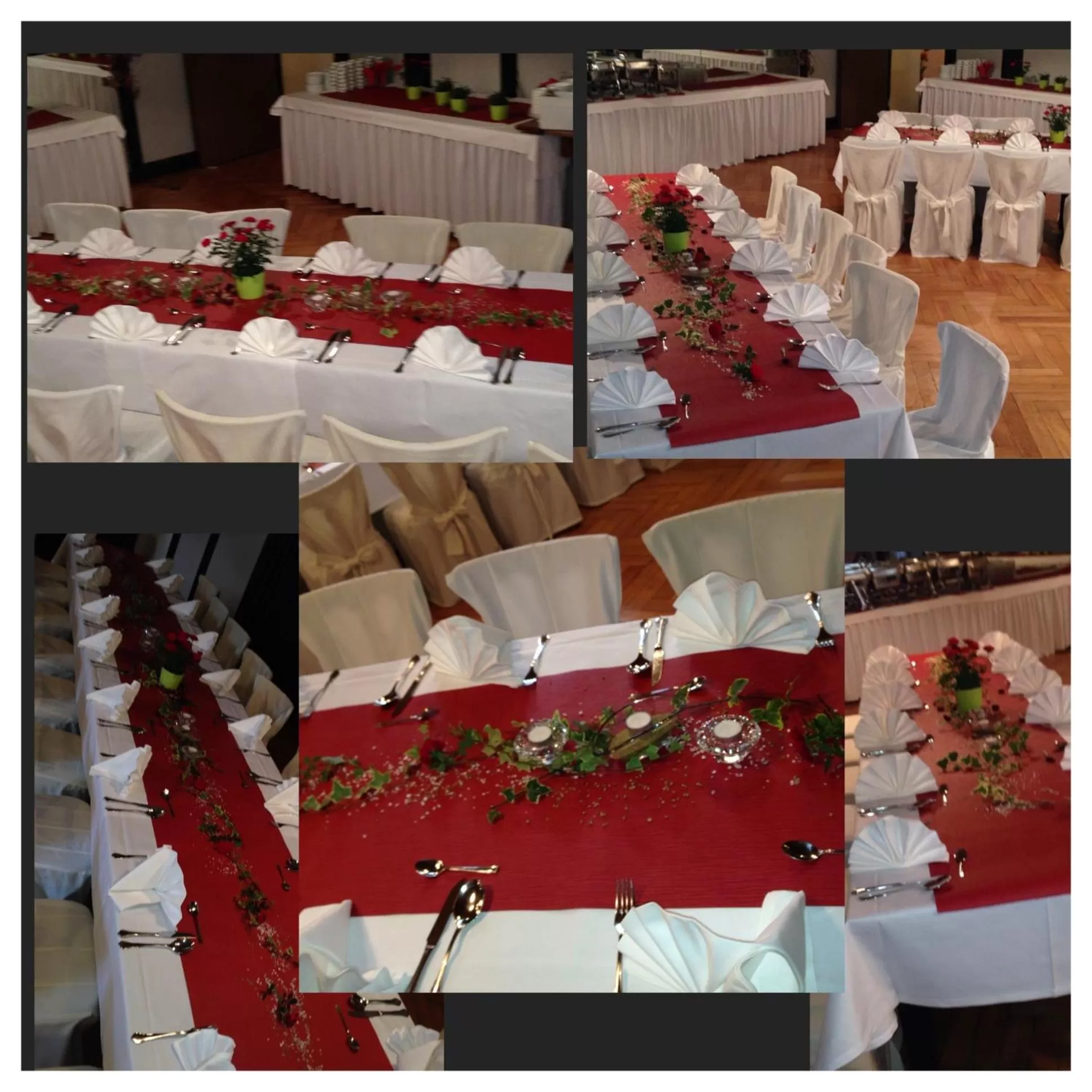 Banquet/Function facilities in Hotel Domhof