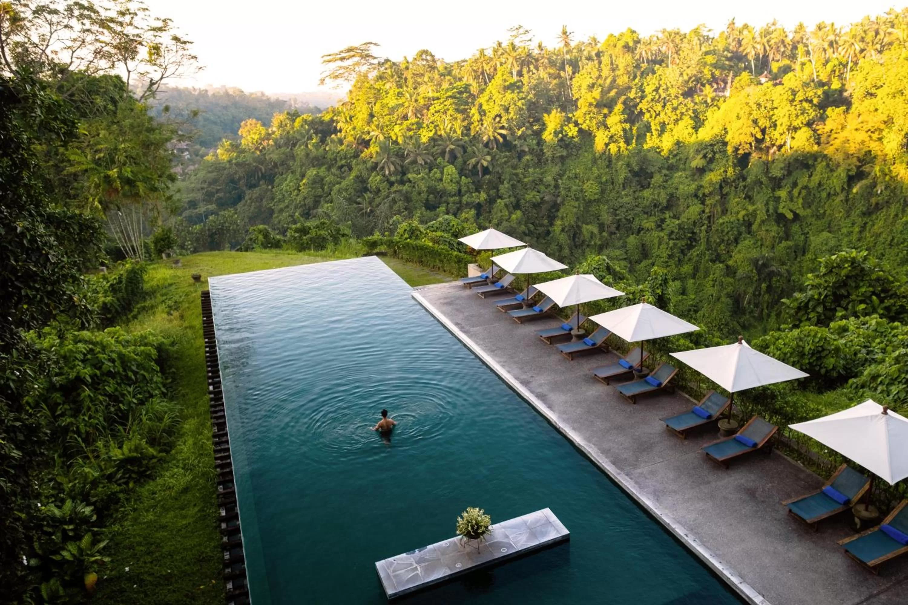 Natural landscape in Alila Ubud