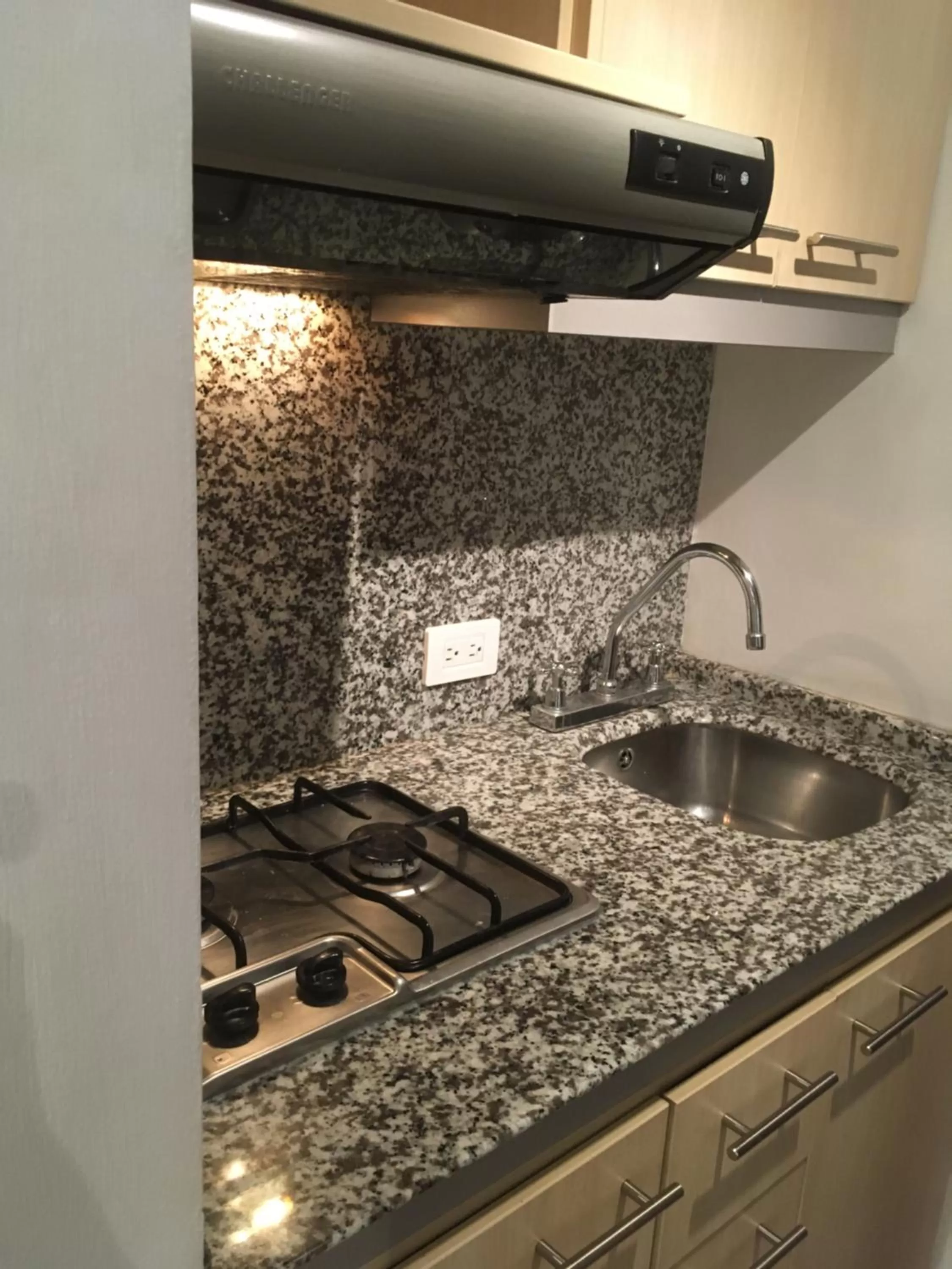 Kitchen or kitchenette, Kitchen/Kitchenette in Suites Parque Real