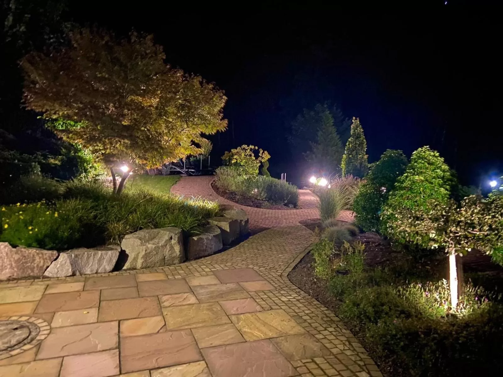 Night, Garden in RelaxHotel Tannenhof