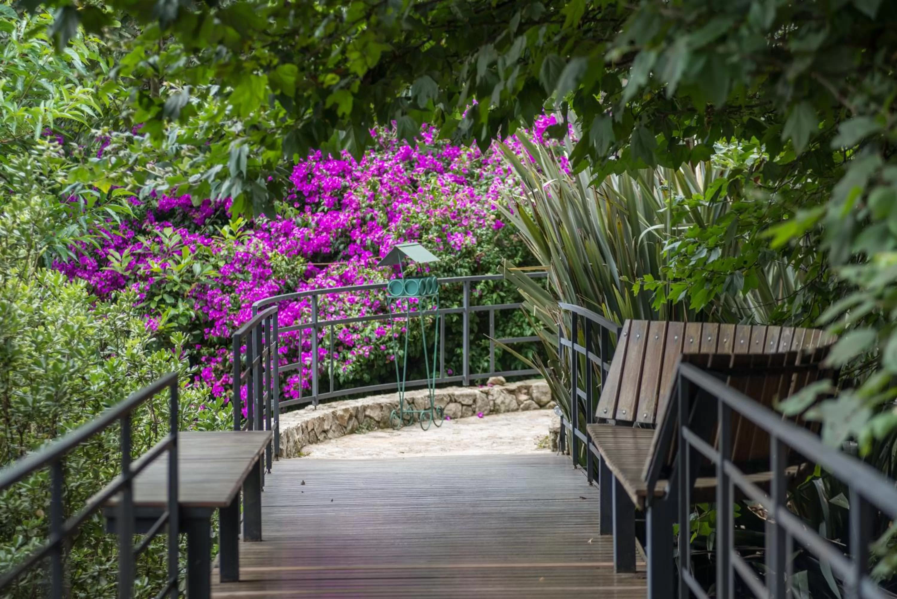 Garden in Kuriuwa Hotel