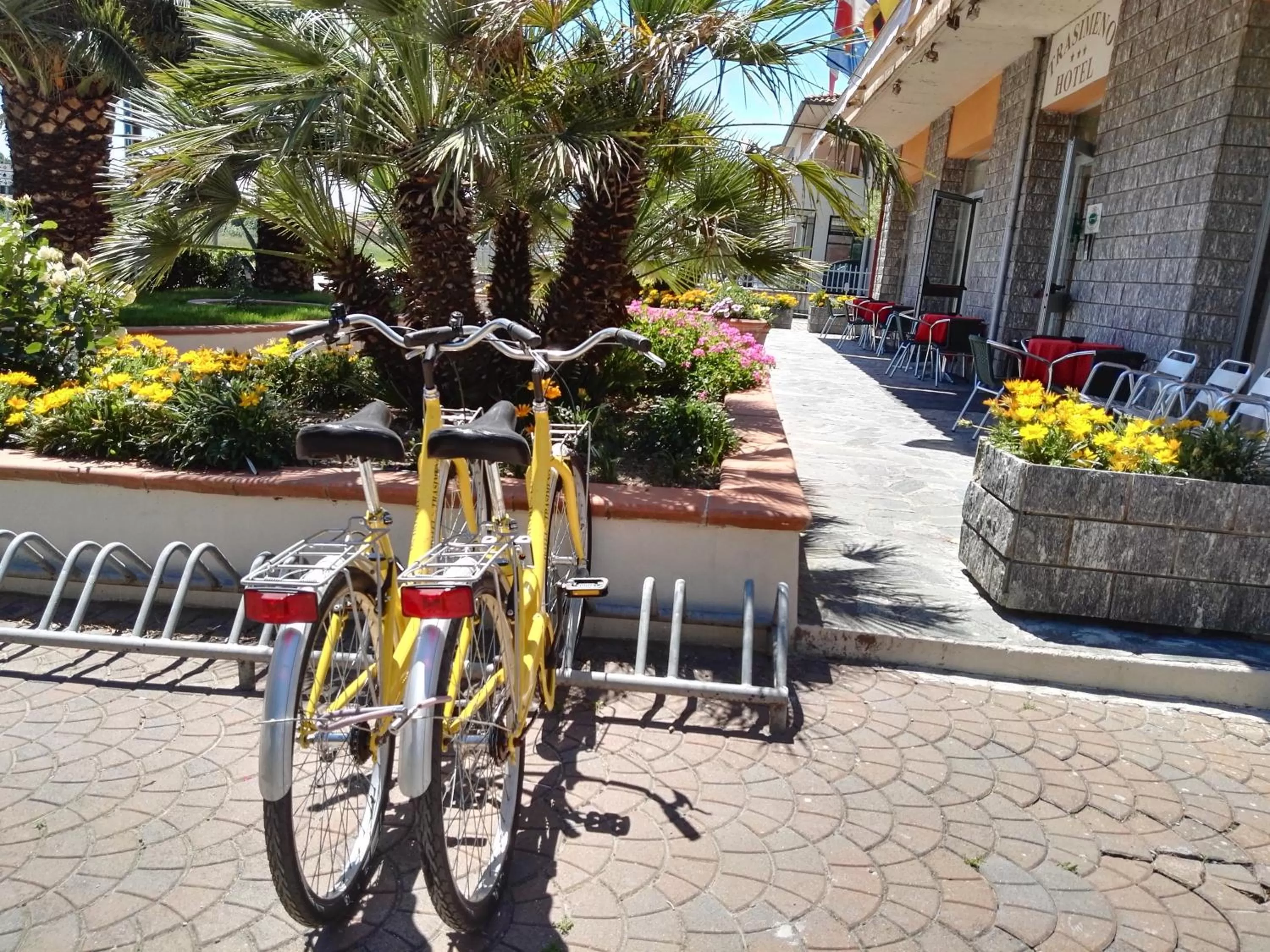 Cycling in Hotel Trasimeno Bittarelli