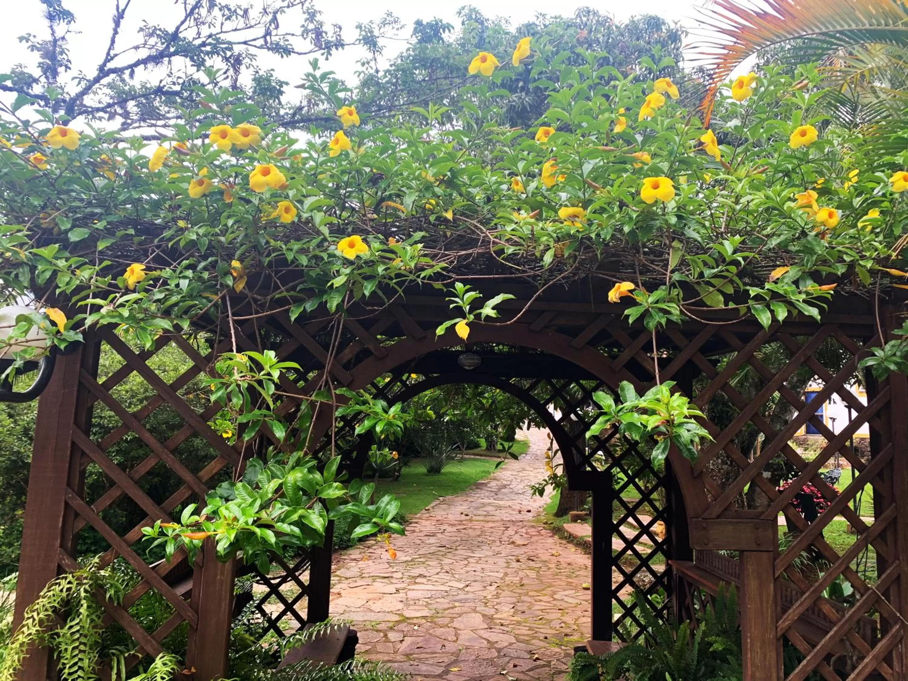 Garden in Pousada Villa Real