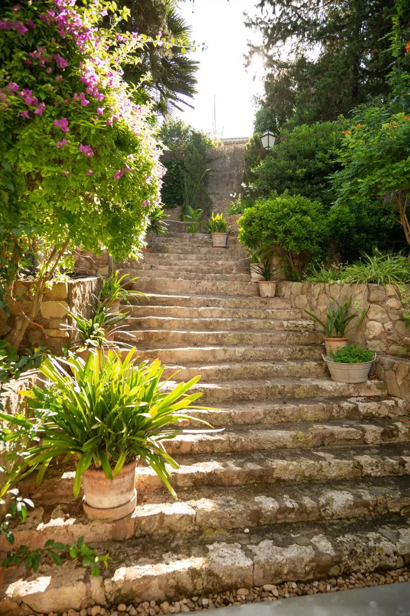 Can Moio Turismo de Interior