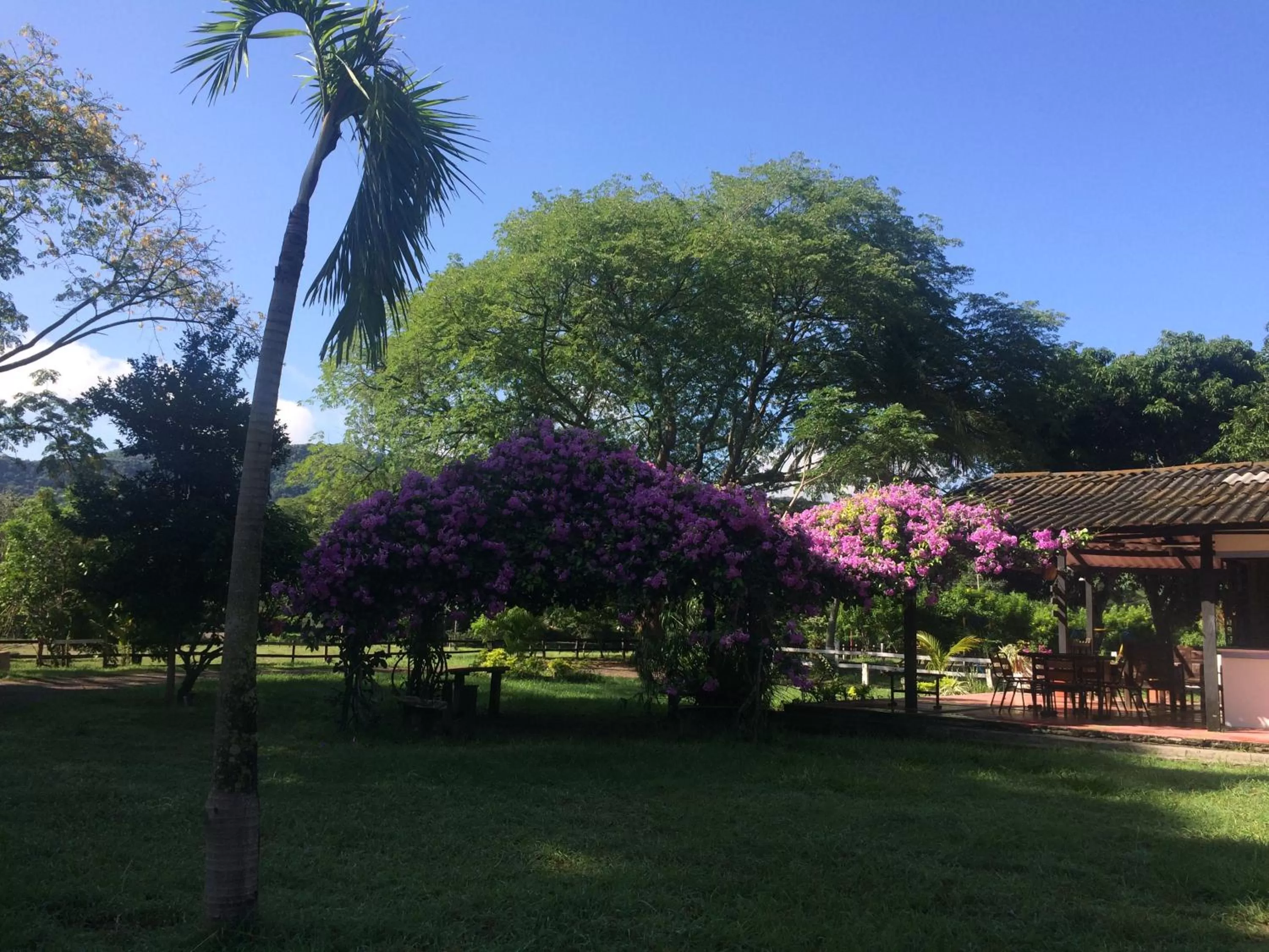 Property building, Garden in Waka Hotel Rural