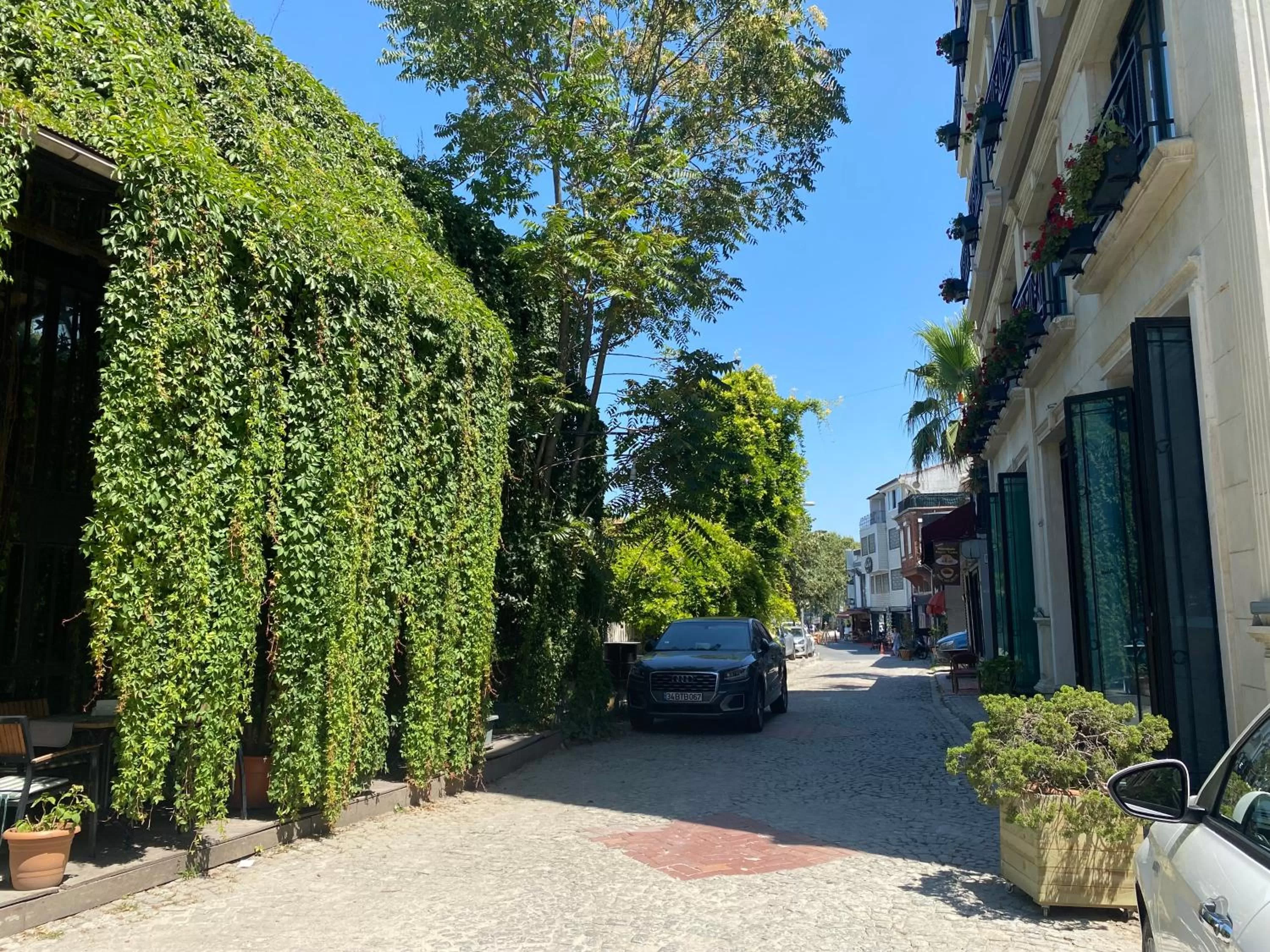 Street view in Istanbul Old City Colorful Houses Balat PETRION Hotel