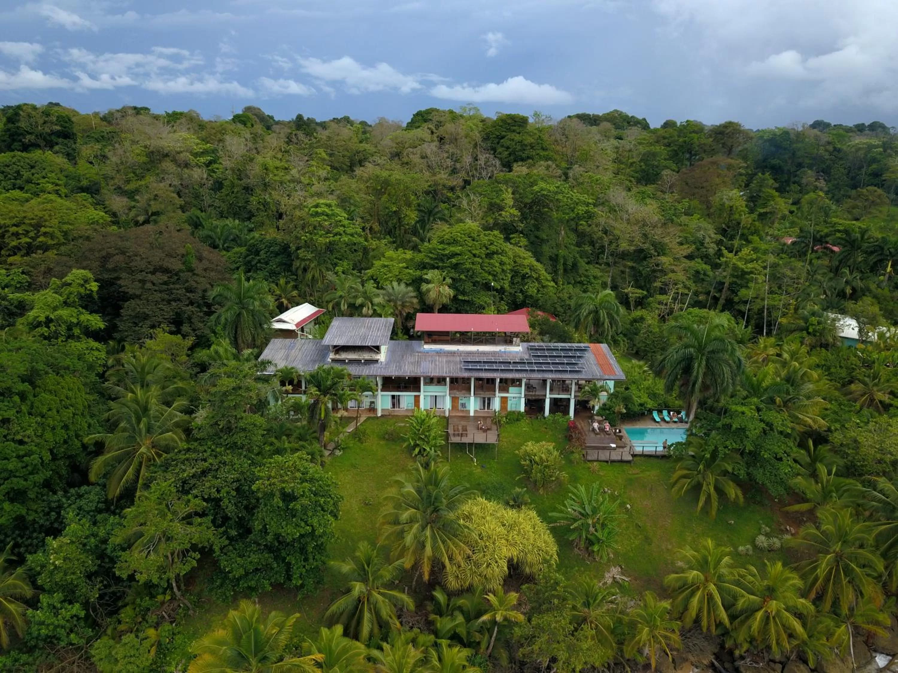 Bird's eye view, Bird's-eye View in Bird Island Bungalows