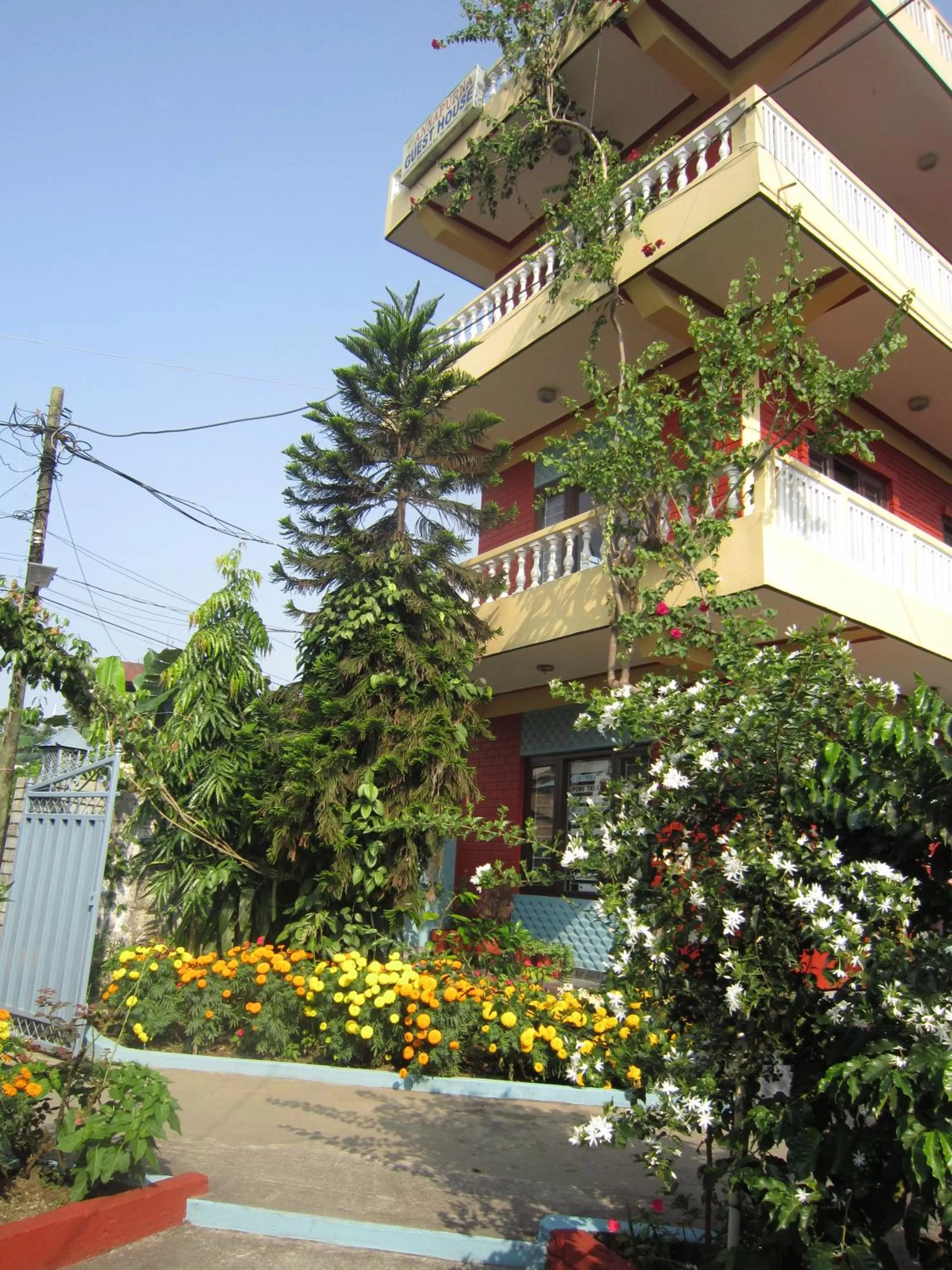 Bird's eye view in New Annapurna Guest House