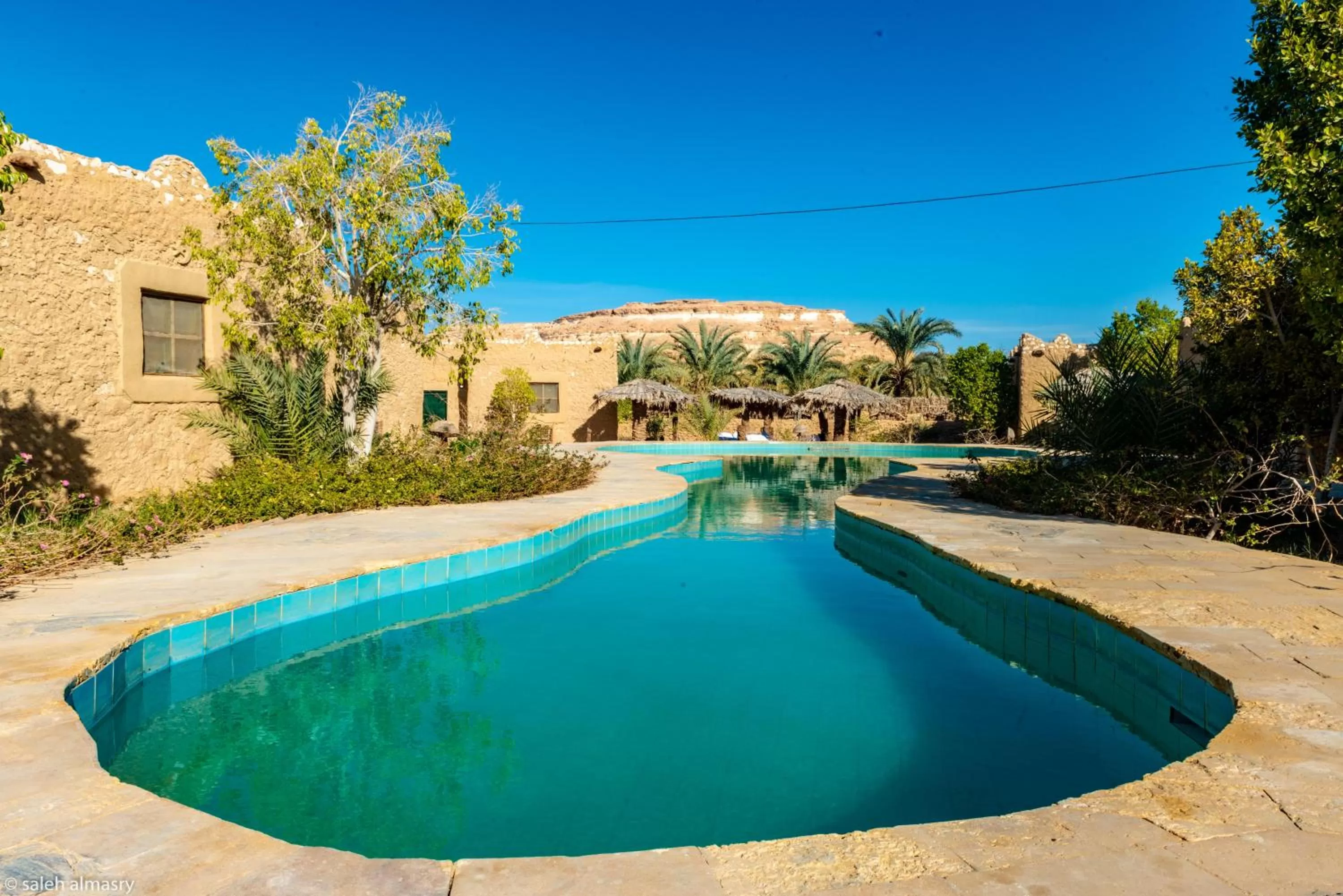 Pool view in Siwa Shali Resort