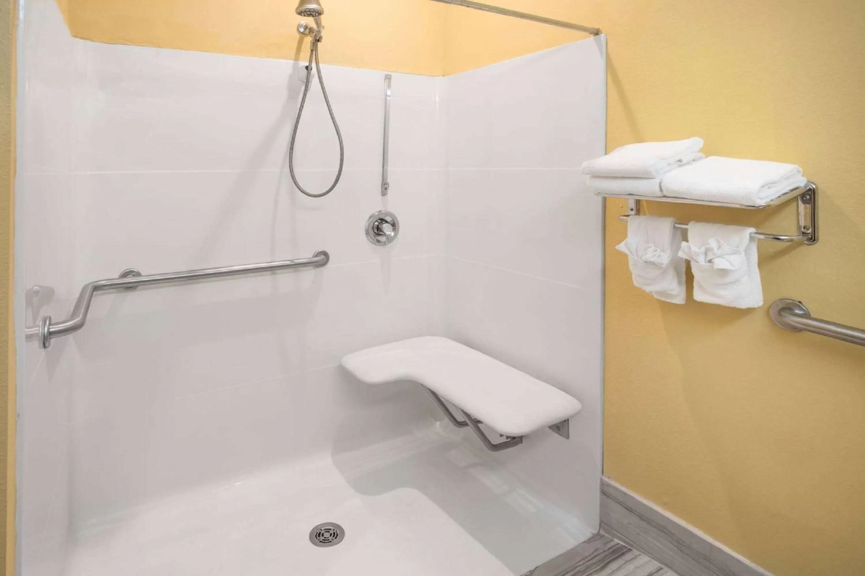 TV and multimedia in Microtel Inn & Suites by Wyndham Stockbridge/Atlanta I-75