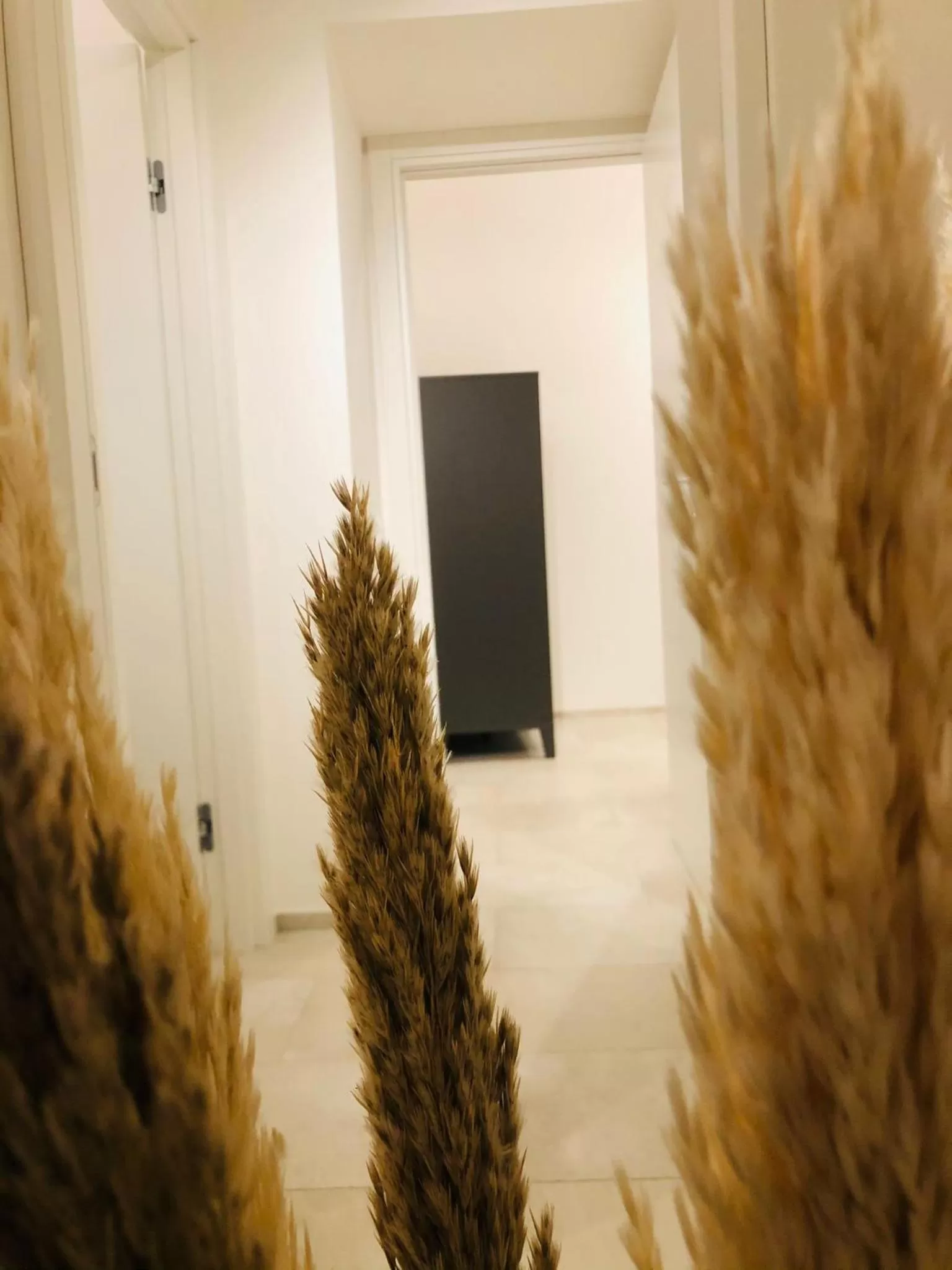 Decorative detail in L Antico Forno Bari Centro Storico