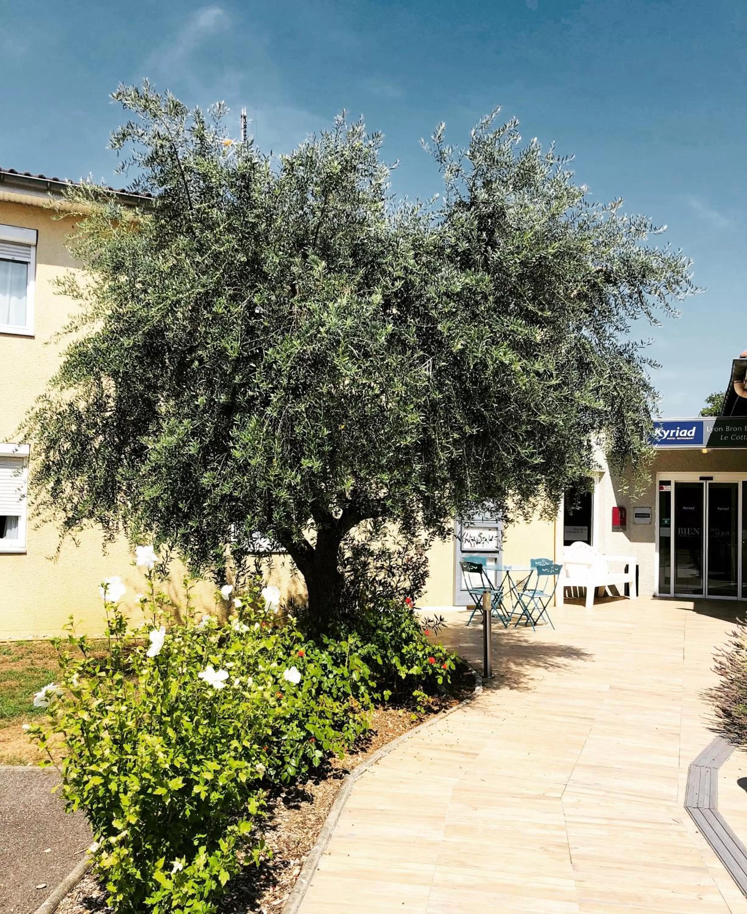 Facade/entrance in Kyriad Lyon Est - Bron Eurexpo Le Cottage