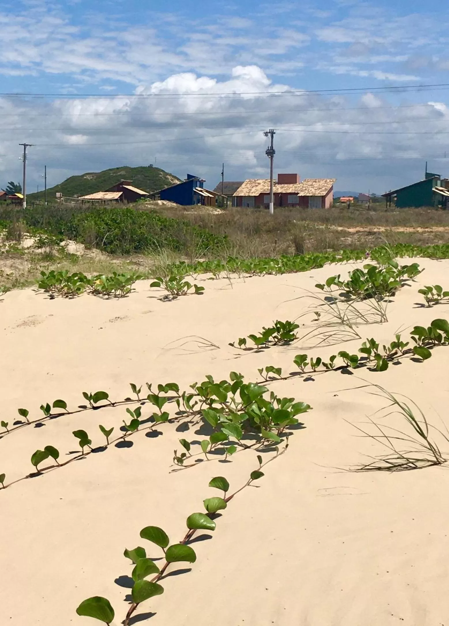 Beach in Pousada dos Sambaquis