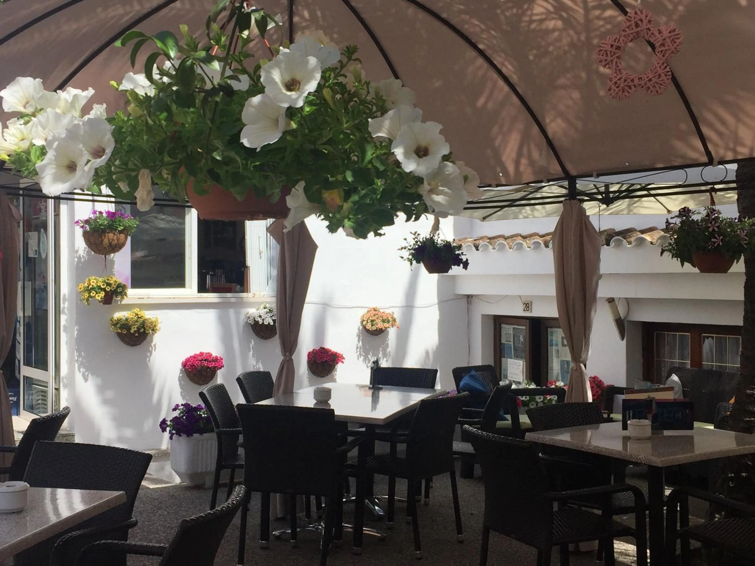 Restaurant/places to eat in Hotel Antares