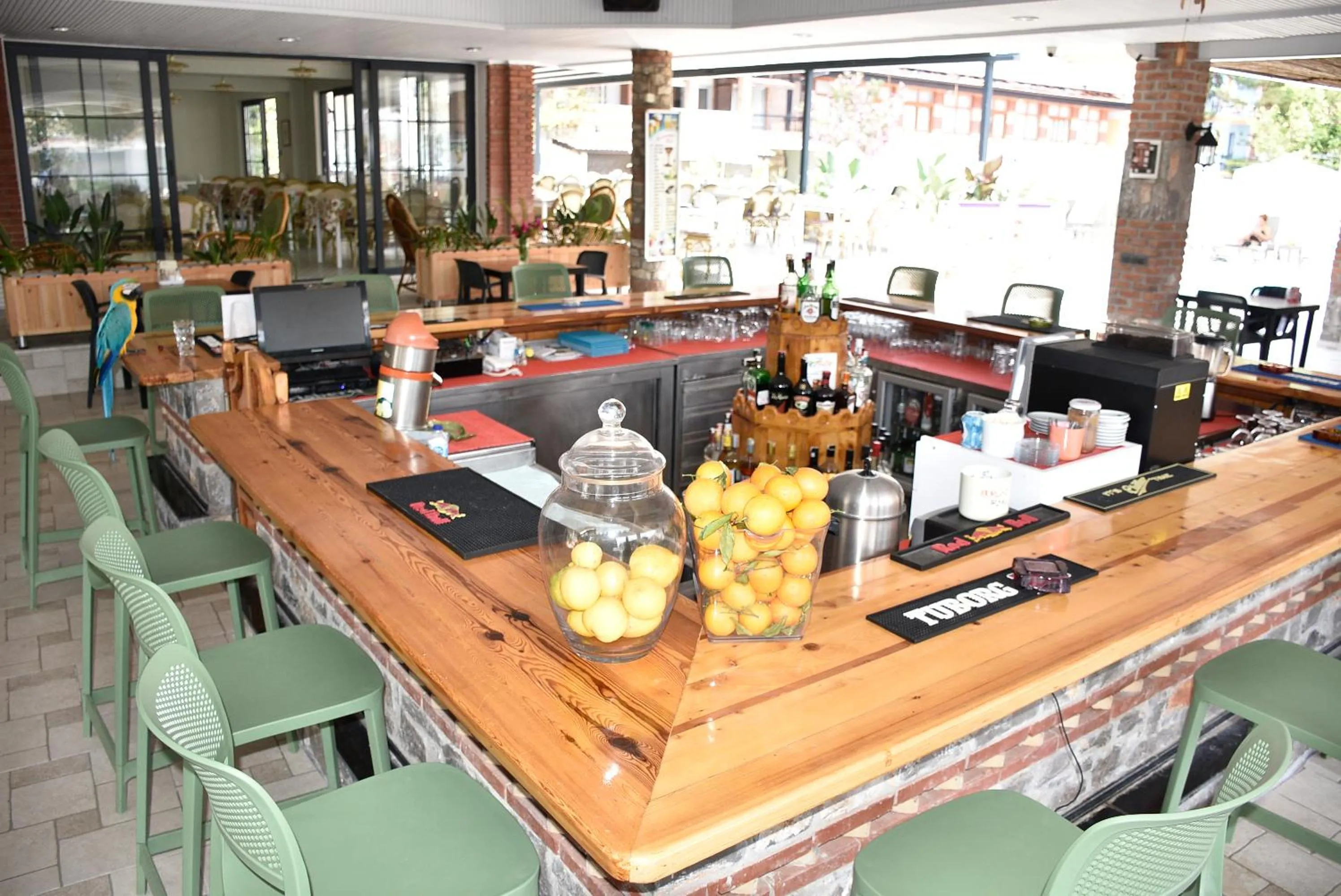 Food and drinks in Magic Tulip Hotel