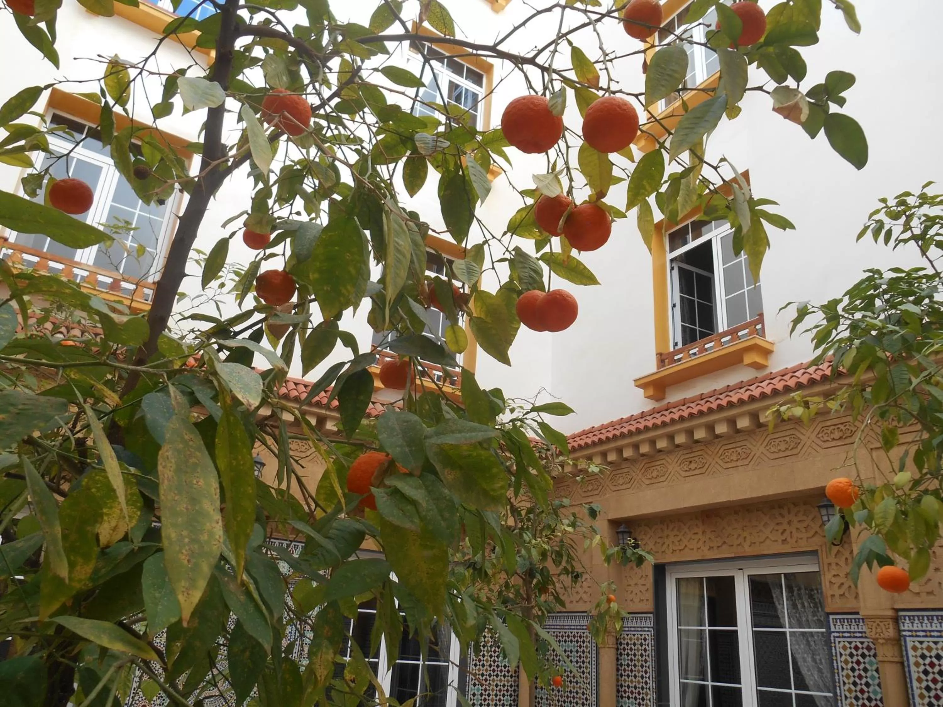 Property Building in Dar Nador