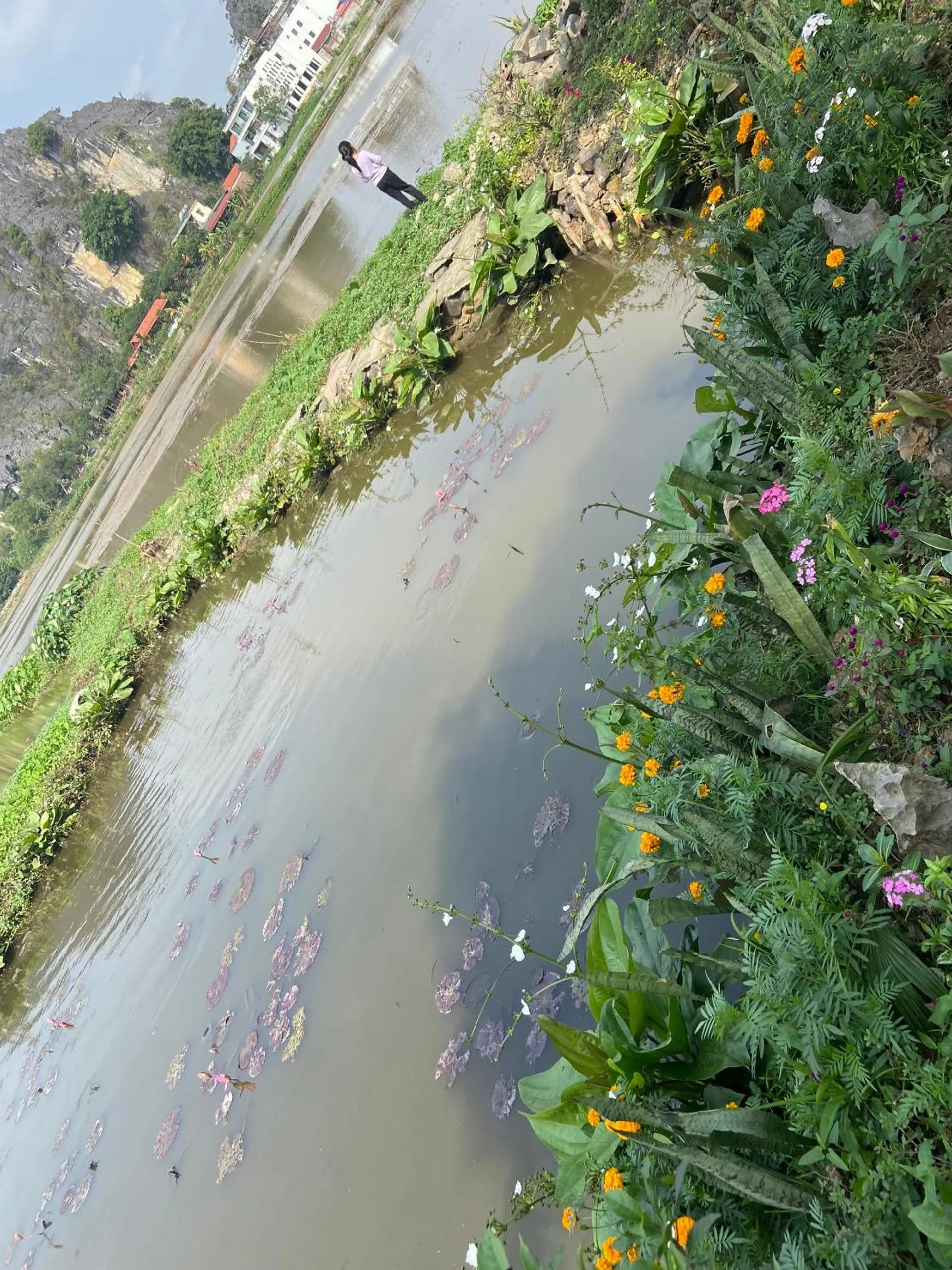 Bird's-eye View in Tam Coc Mountain View Homestay