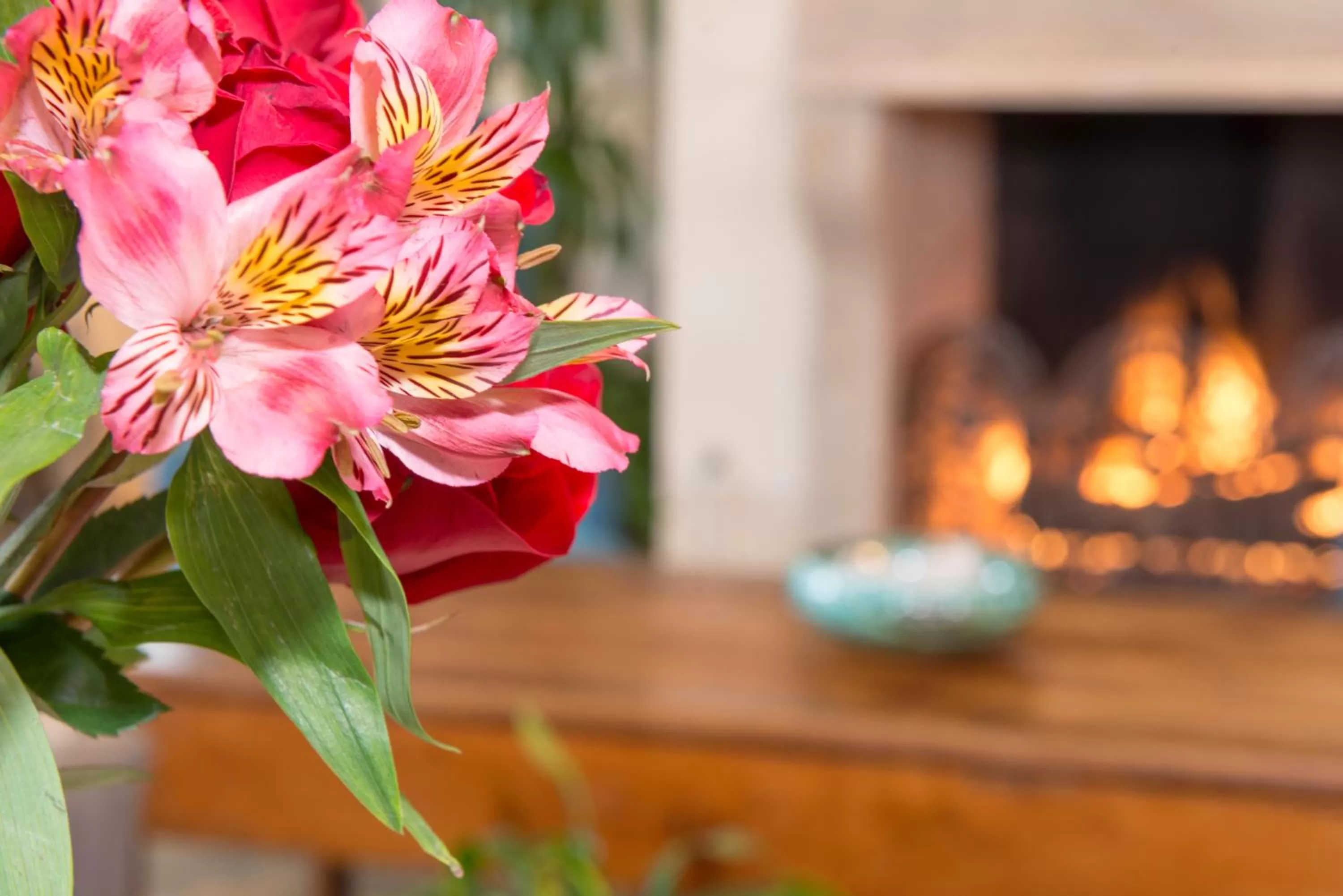 Area and facilities in Ayres Hotel Laguna Woods - Aliso Viejo