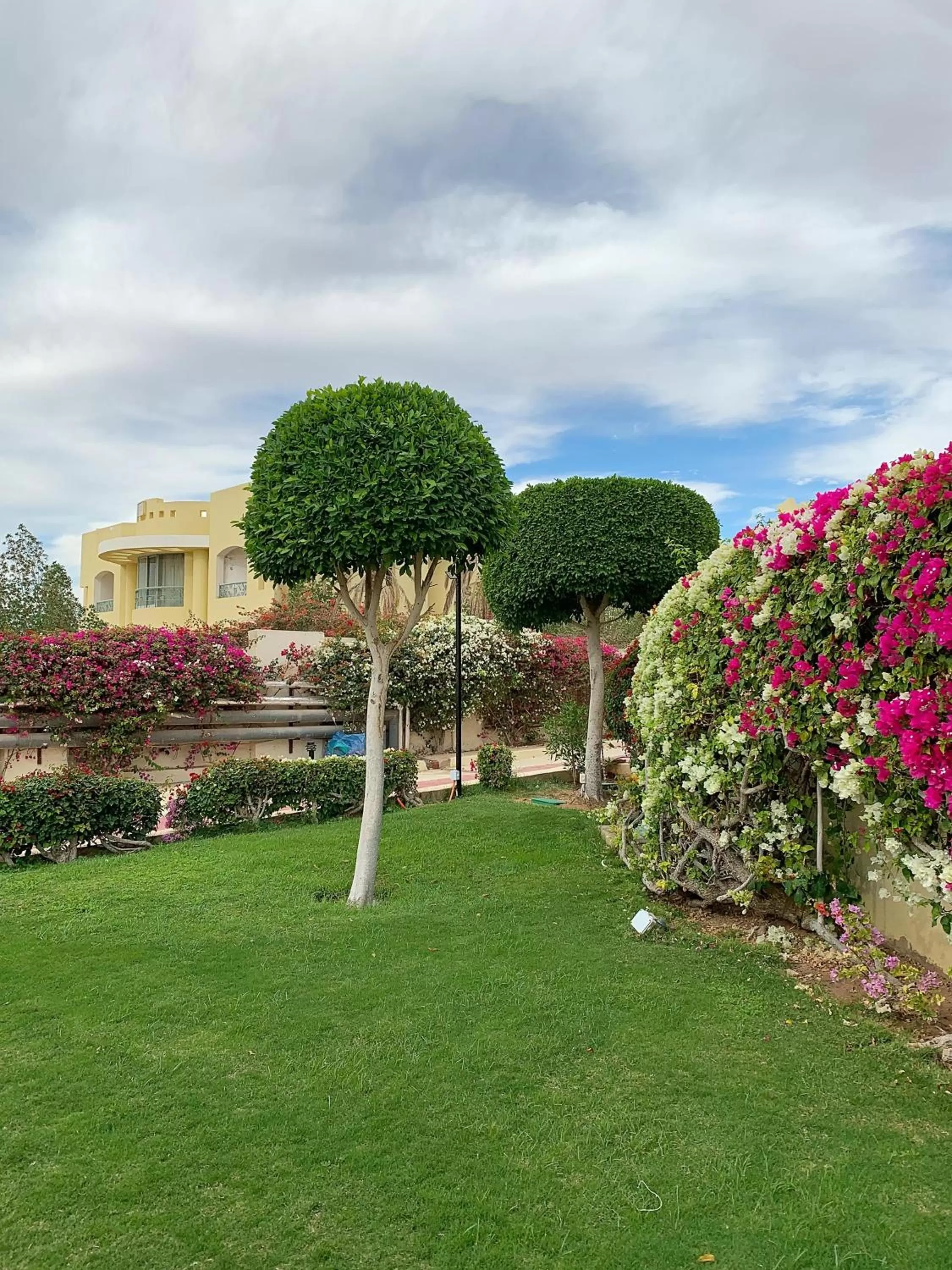 Garden in Grand Oasis Resort