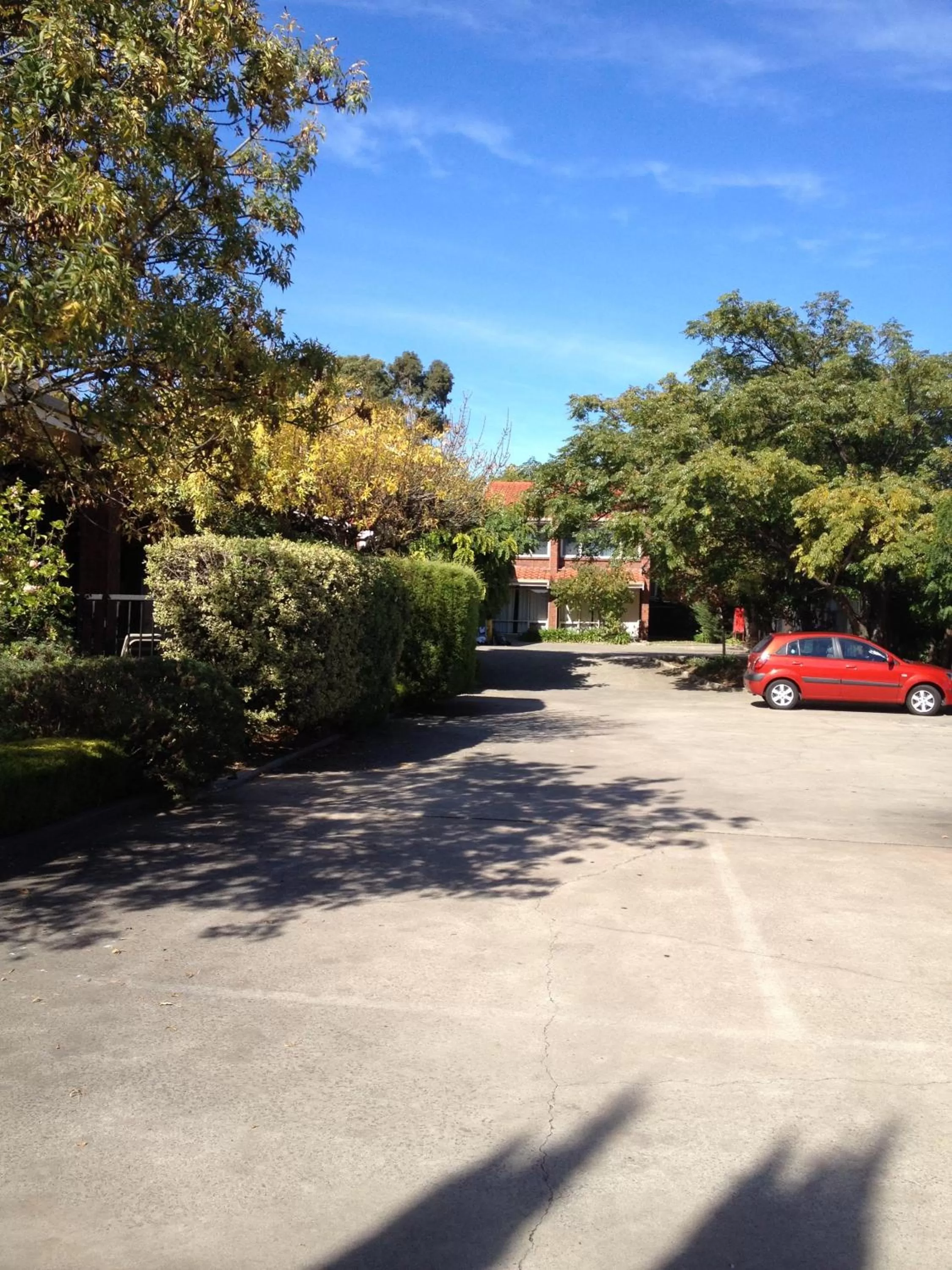 Garden in Comfort Inn & Suites Sombrero