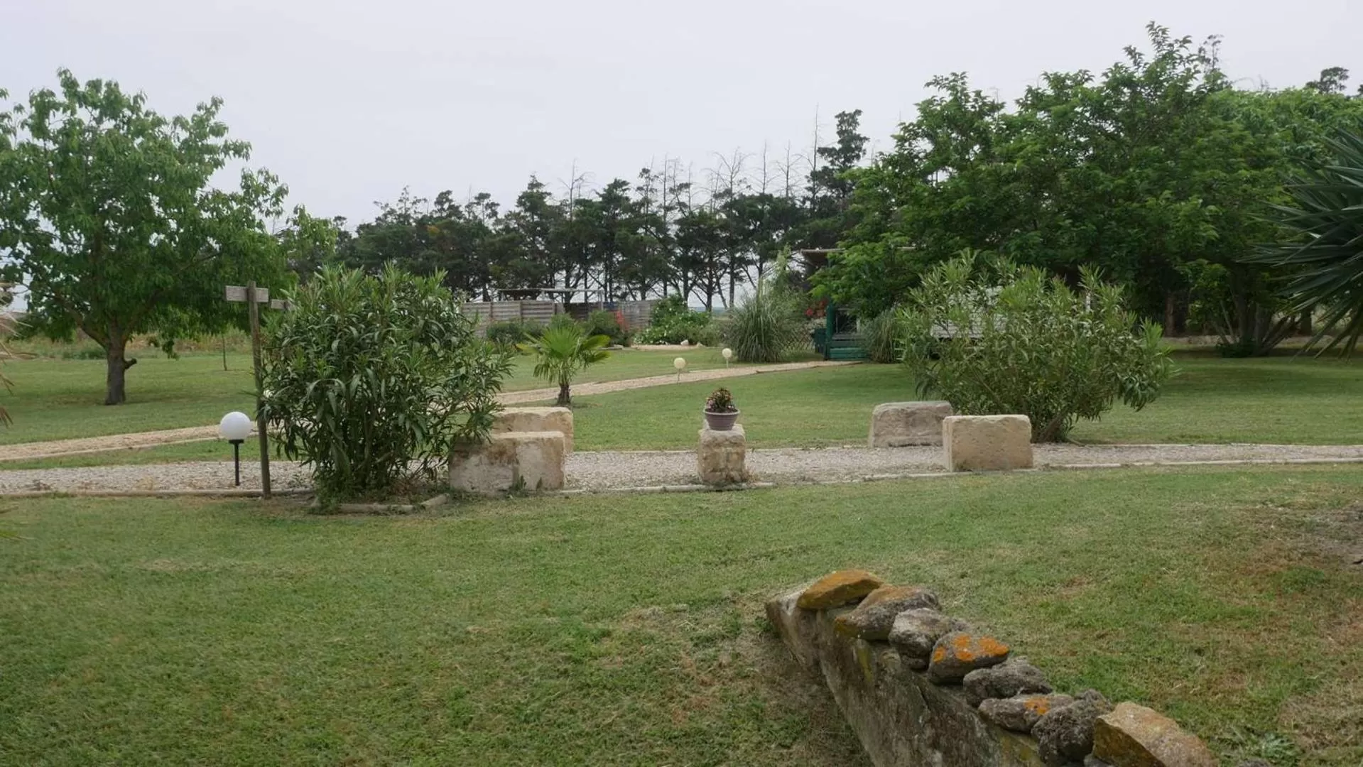 Garden view in MAS MAURANE-Chambre d'hôte avec SPA privé aux portes d'ARLES