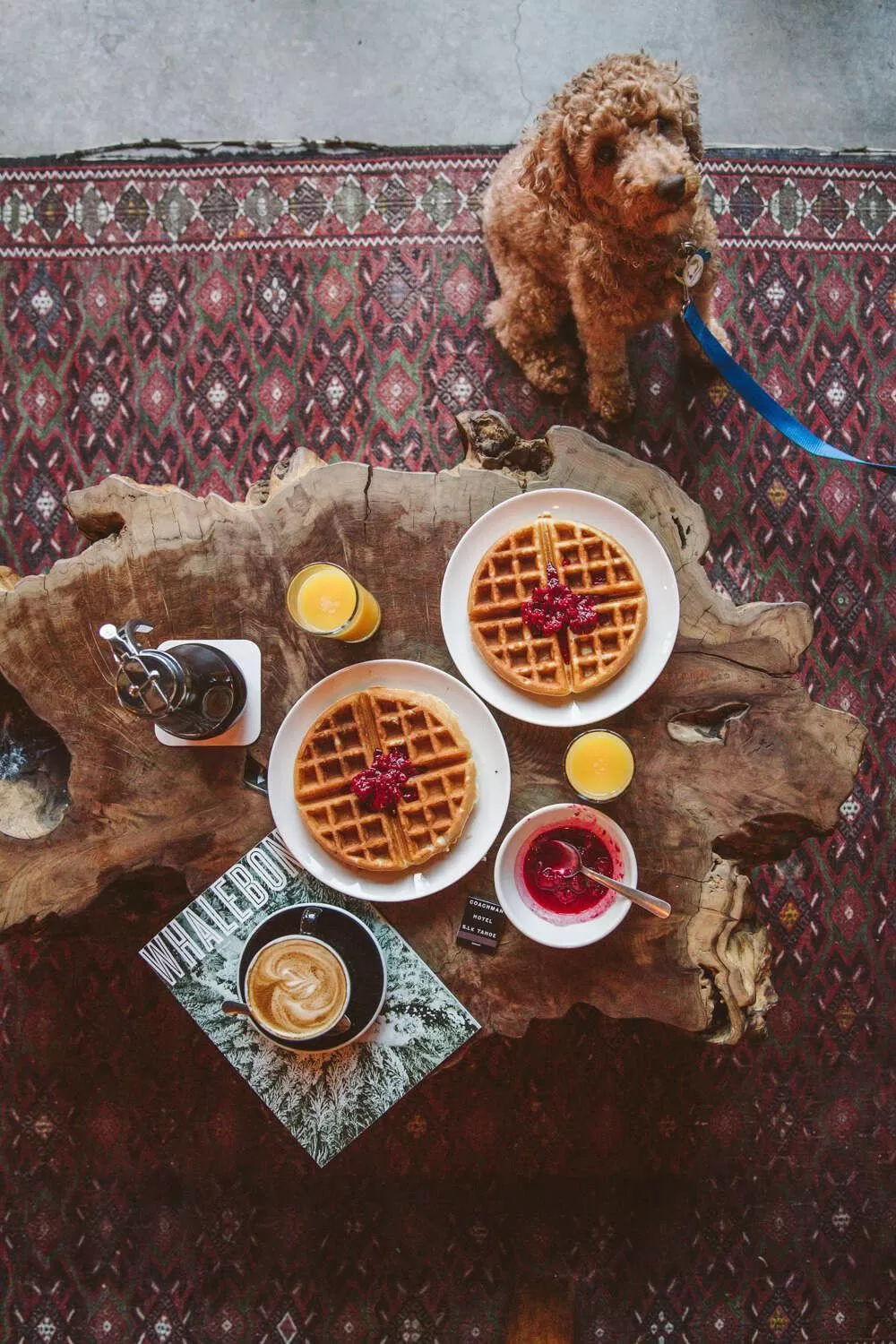 Food and drinks in The Coachman Hotel